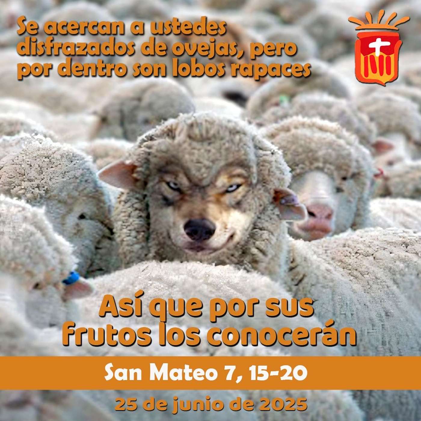 2025-06-25 San Mateo 7, 15-20: Miércoles XII Ordinario