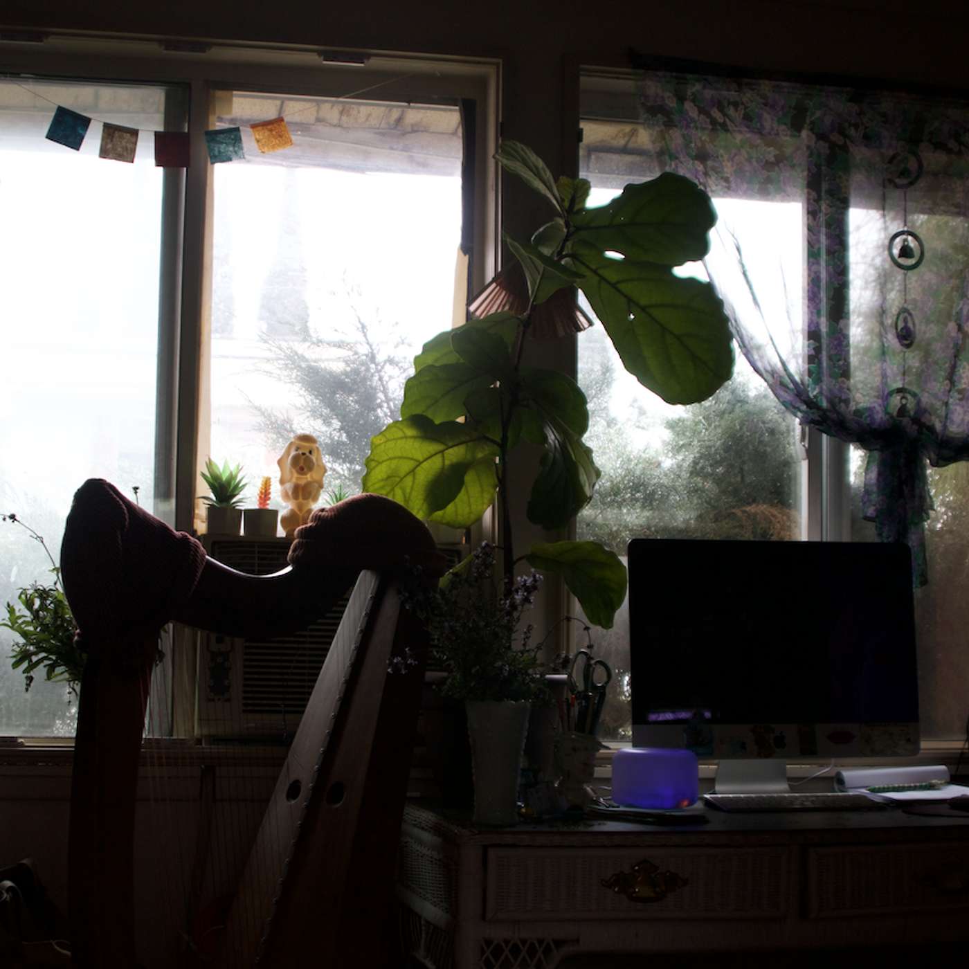 Dragonfly Moonbeam Windowsill