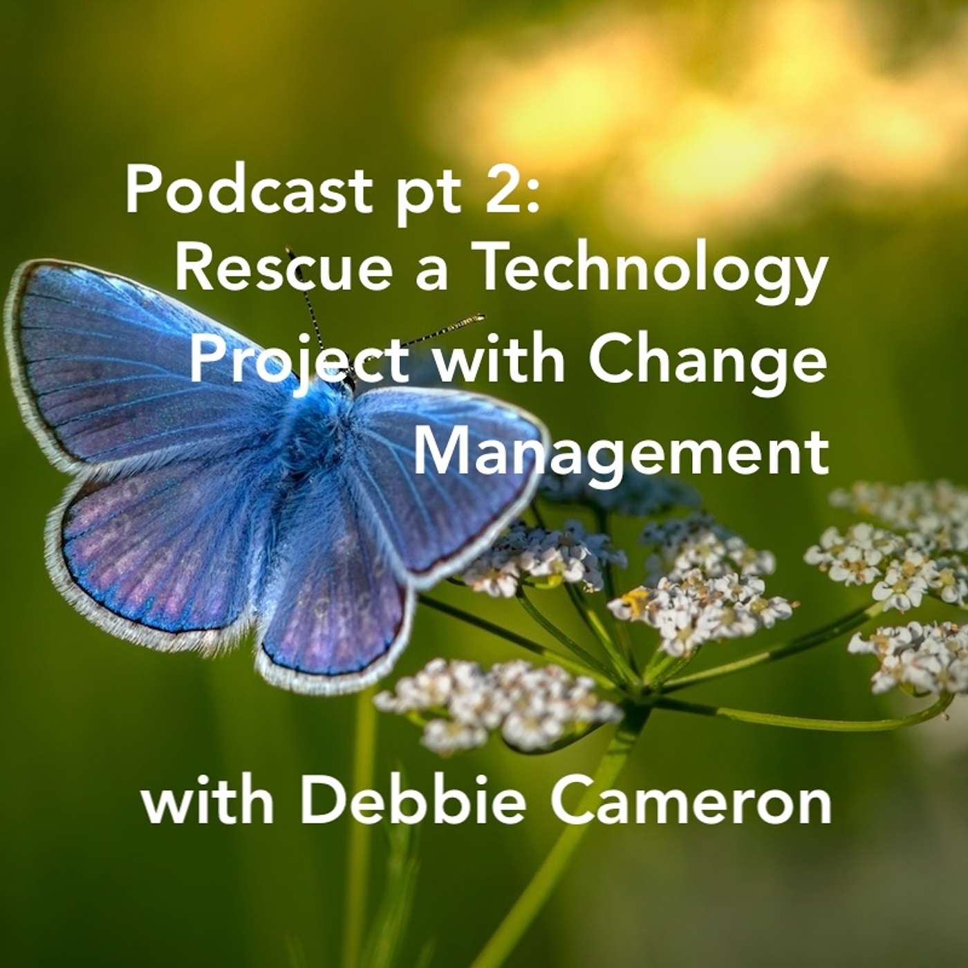 How to Rescue a Nonprofit Technology Project with Change Management pt 2: with Debbie Cameron
