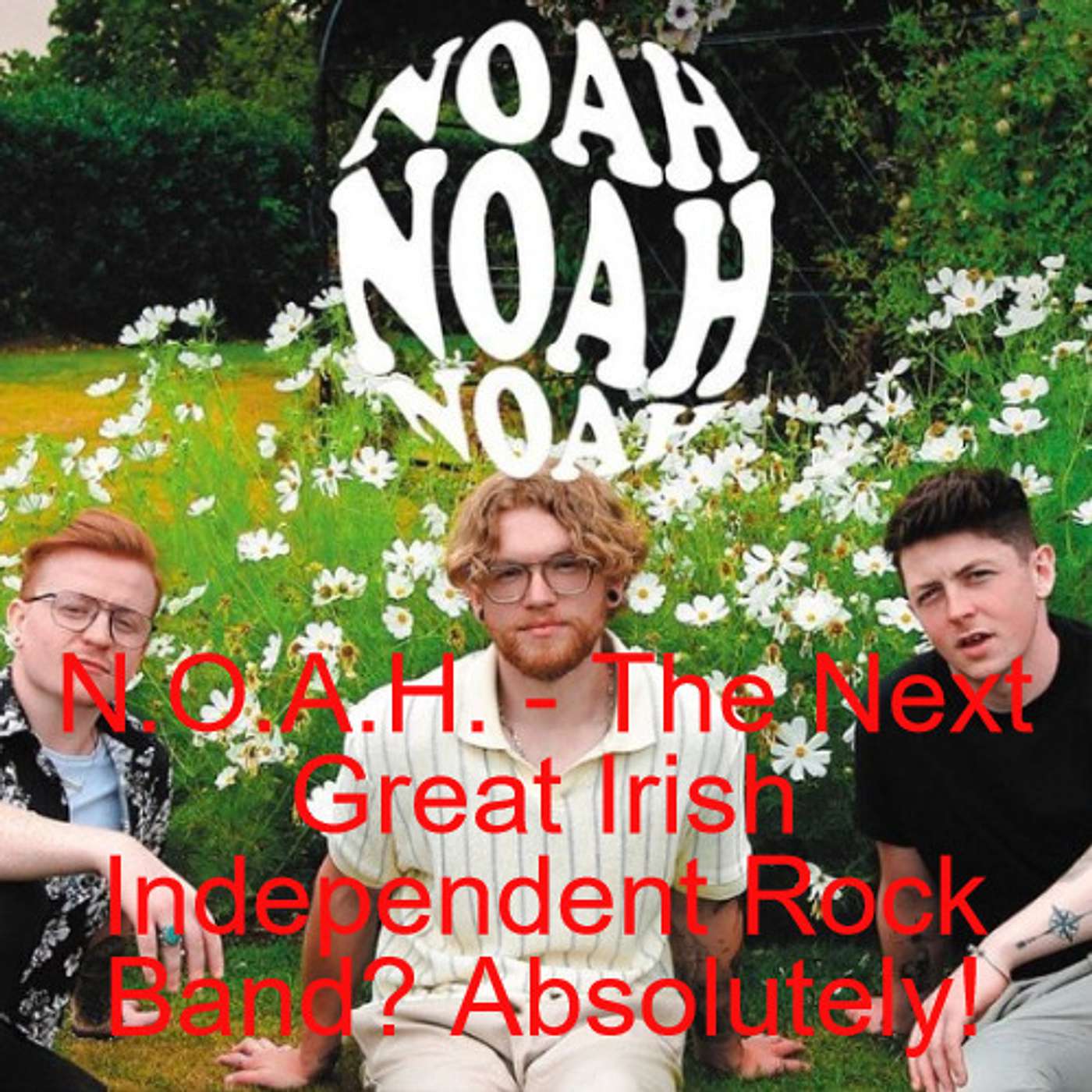 N.O.A.H. - The Next Great Irish Independent Rock Band? Absolutely! episode artwork