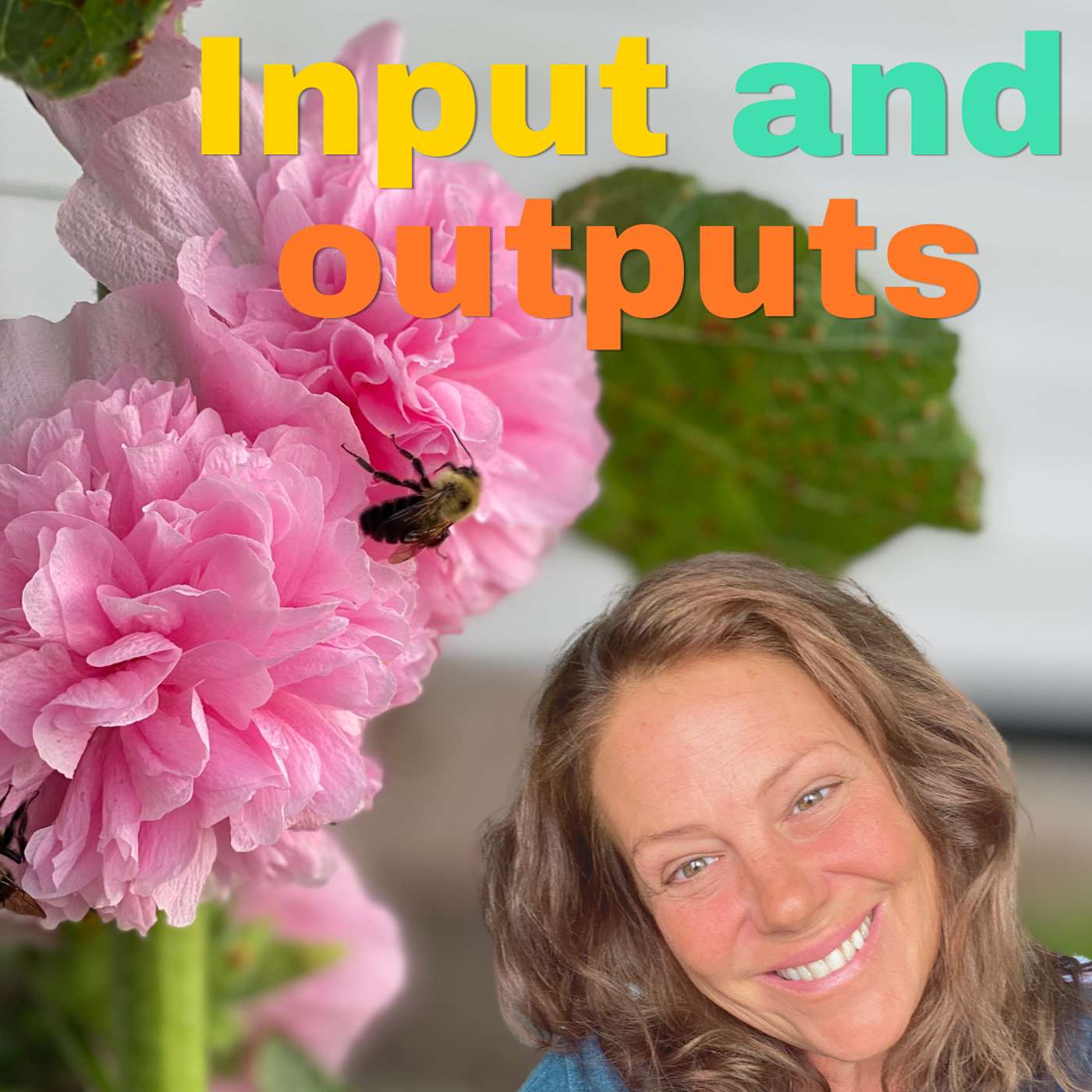 Input and Outputs