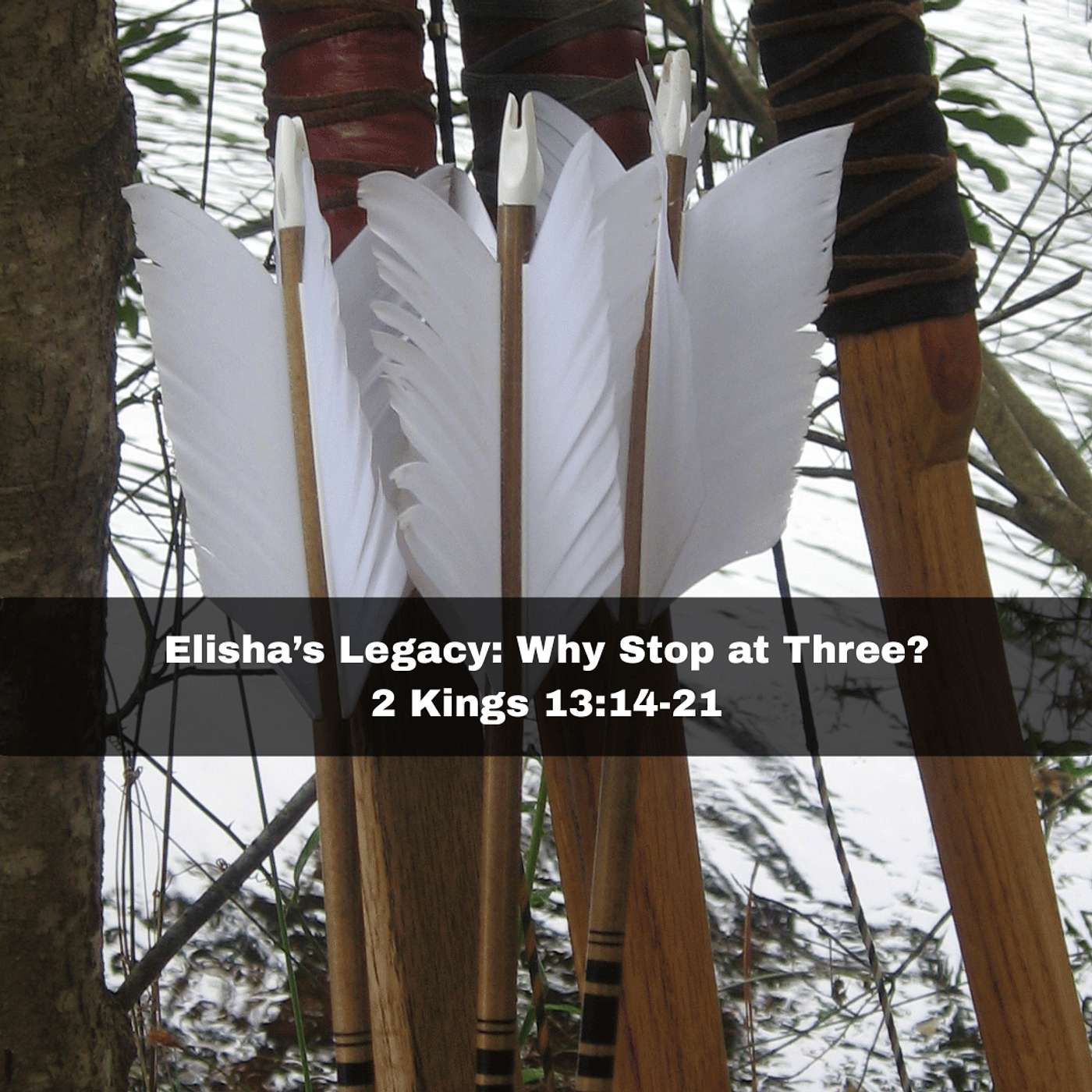 "Elisha's Legacy: Why Stop at Three?" 2 Kings 13:14-21