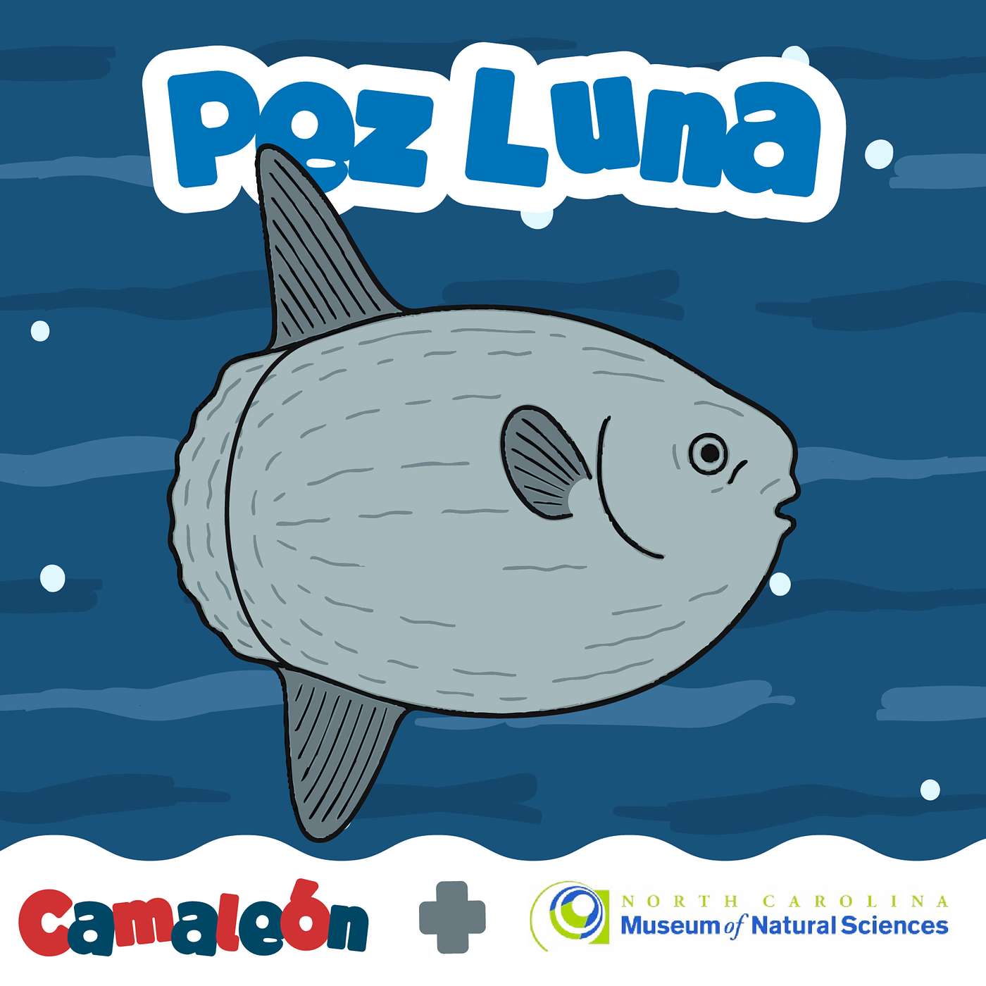 Pez luna: El gigante que nada de lado episode artwork