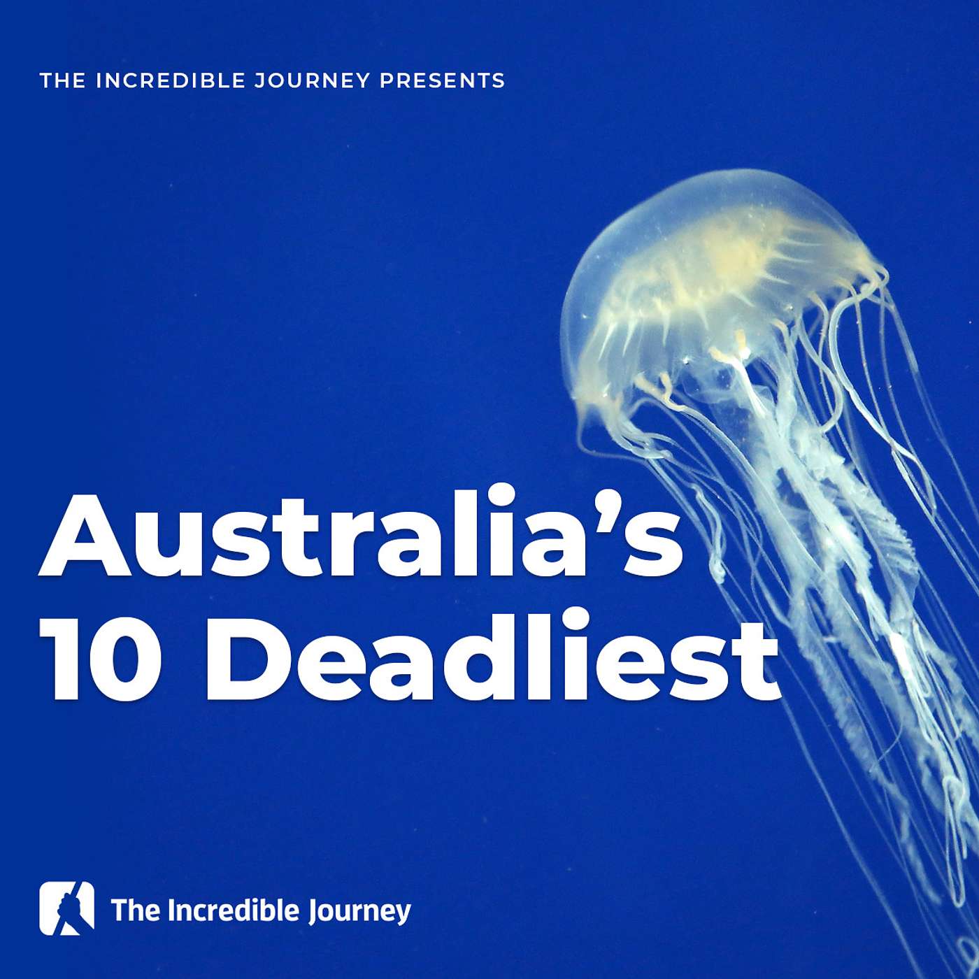 The Incredible Journey