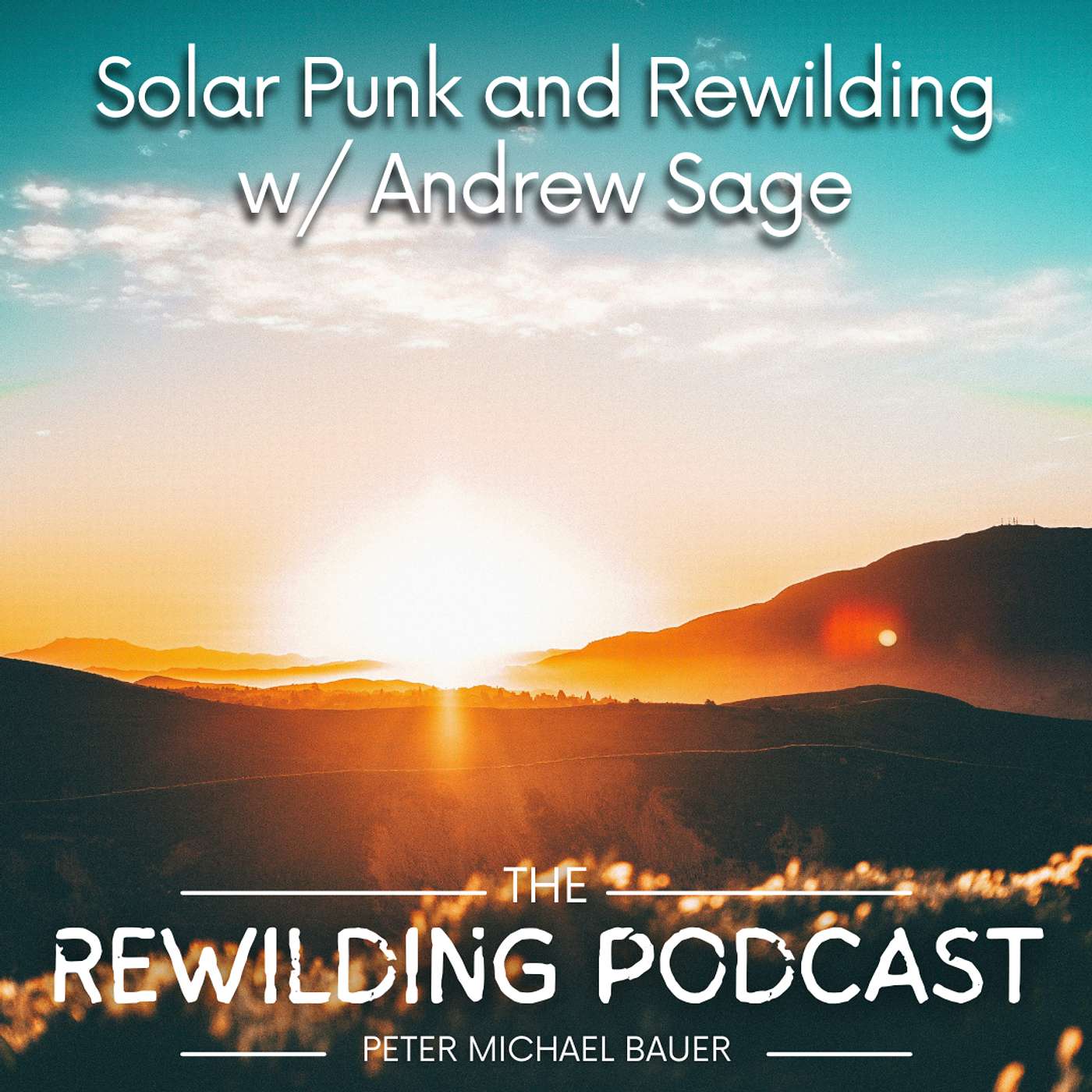 Solar Punk and Rewilding w/ Andrew Sage Solar Punk and Rewilding w/ Andrew Sage