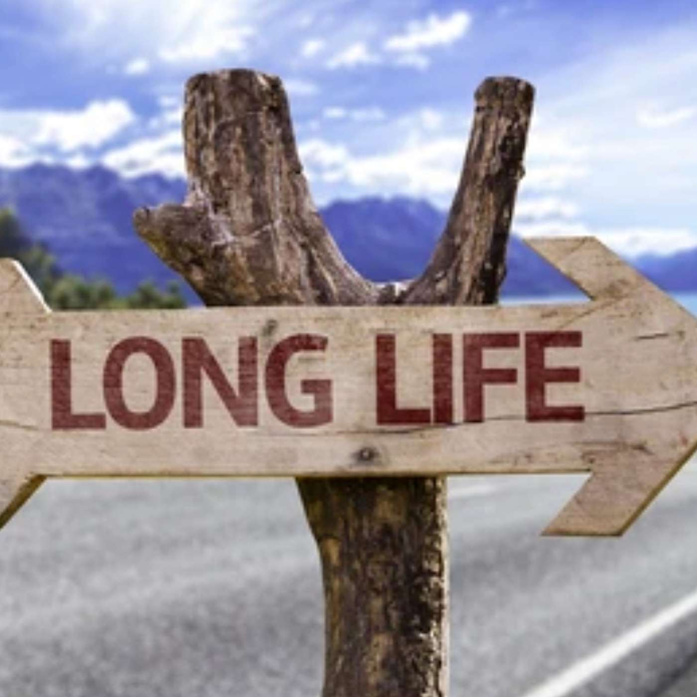 Episode 1654 - Recipe for a Long Life.