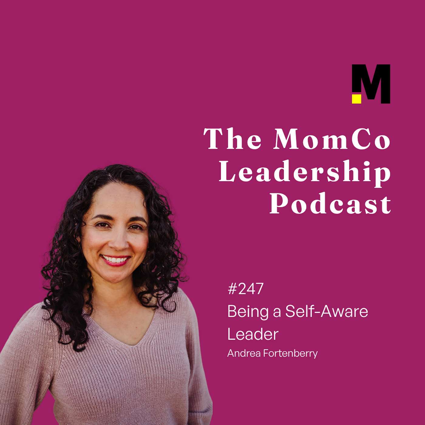 Being a Self-Aware Leader – July Leadership Tip – #247 episode artwork