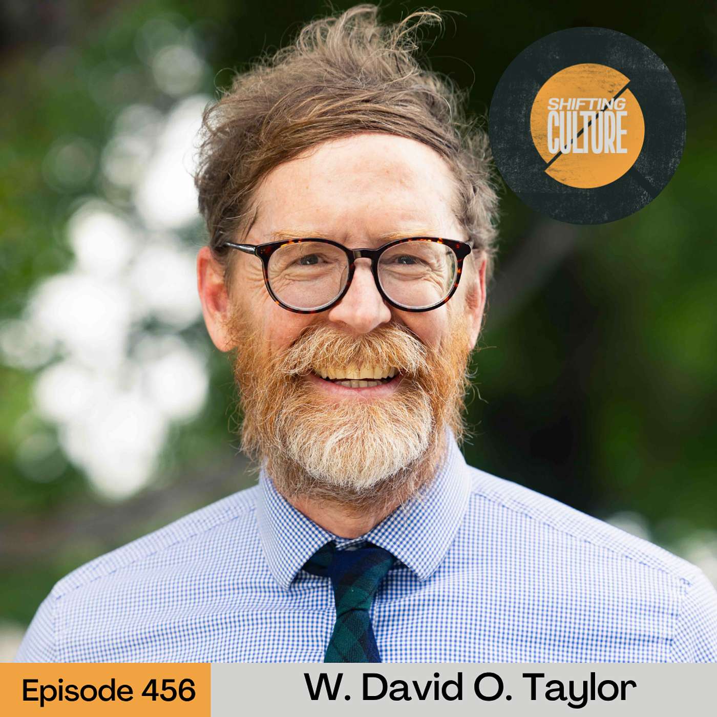 Ep. 456 W. David O. Taylor Returns - How Artists Bear Witness to the Fullness of God's Creation episode artwork