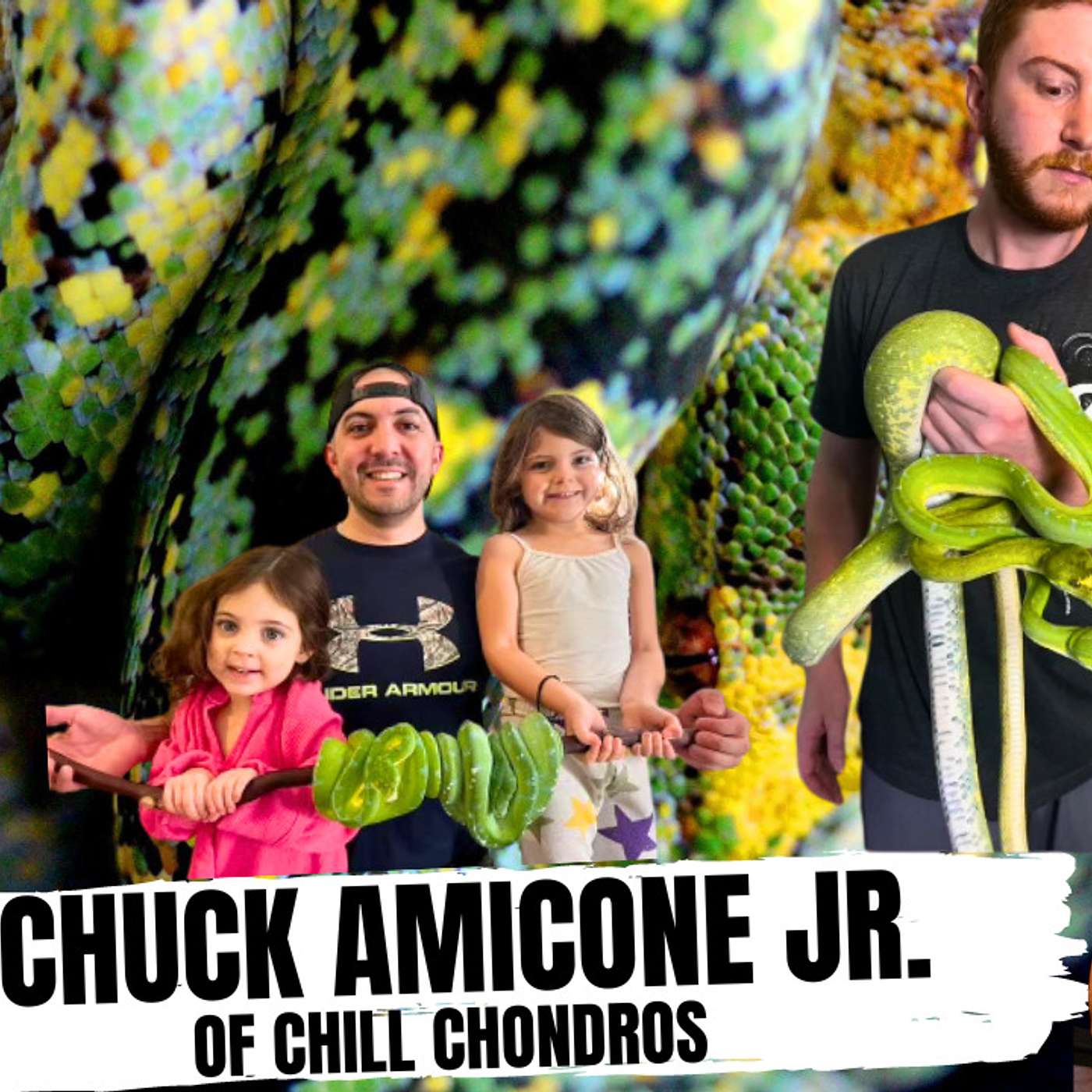 Why Chuck is all about the Chondros & NOT the drama | All In The Tree Tuesday's