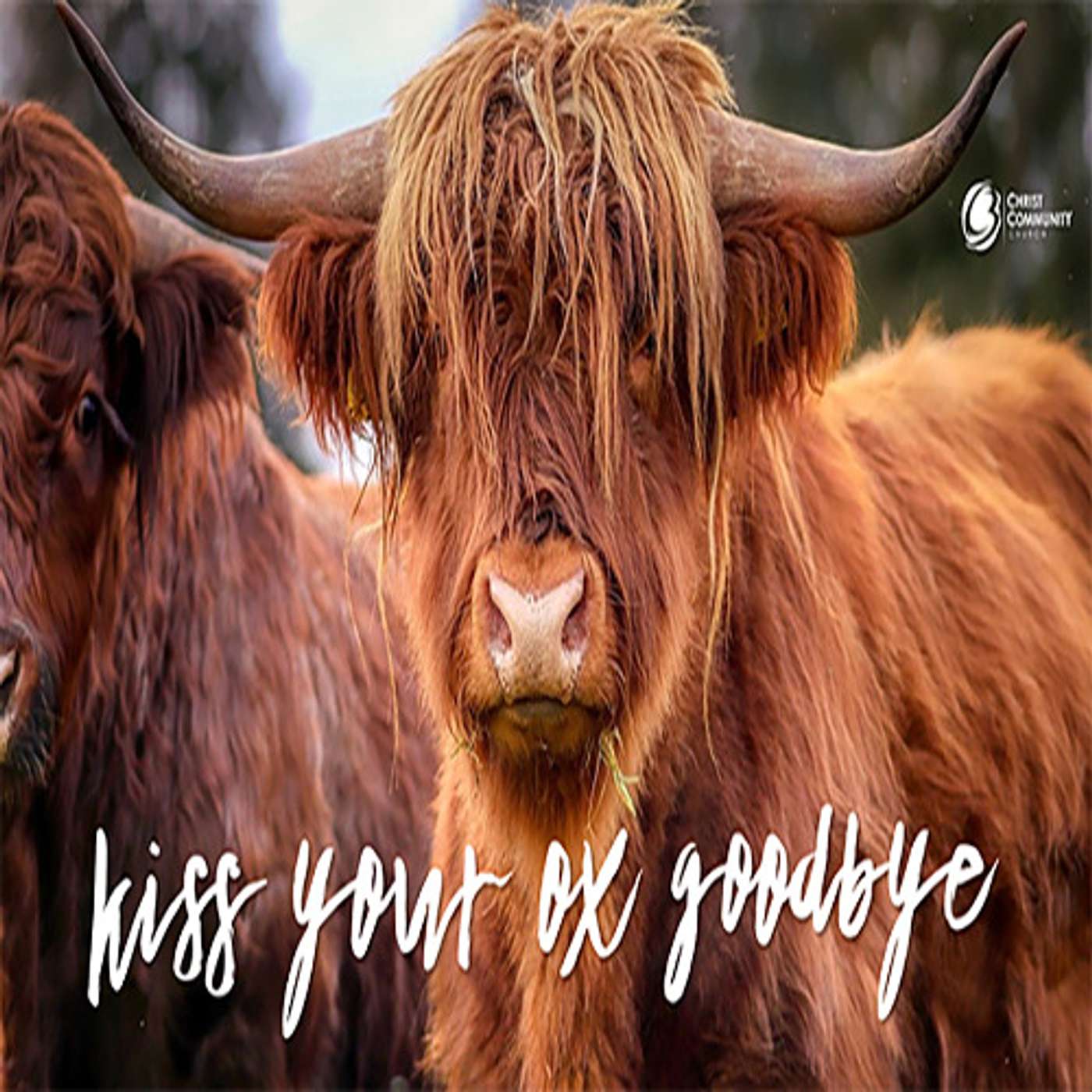 Kiss Your Ox Goodbye