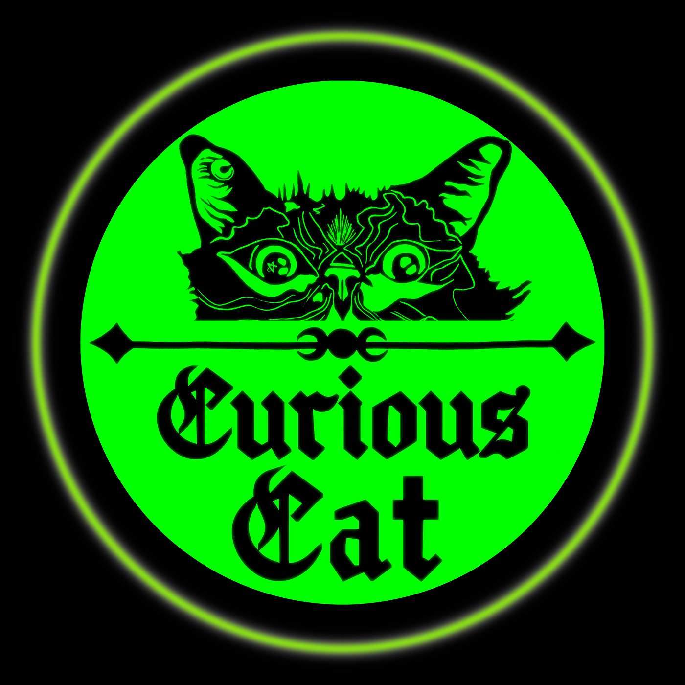 Curious Cat
