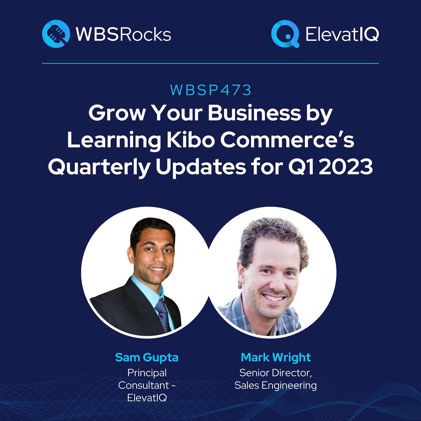 WBSRocks: Business Growth with Enterprise Software and Digital Transformation