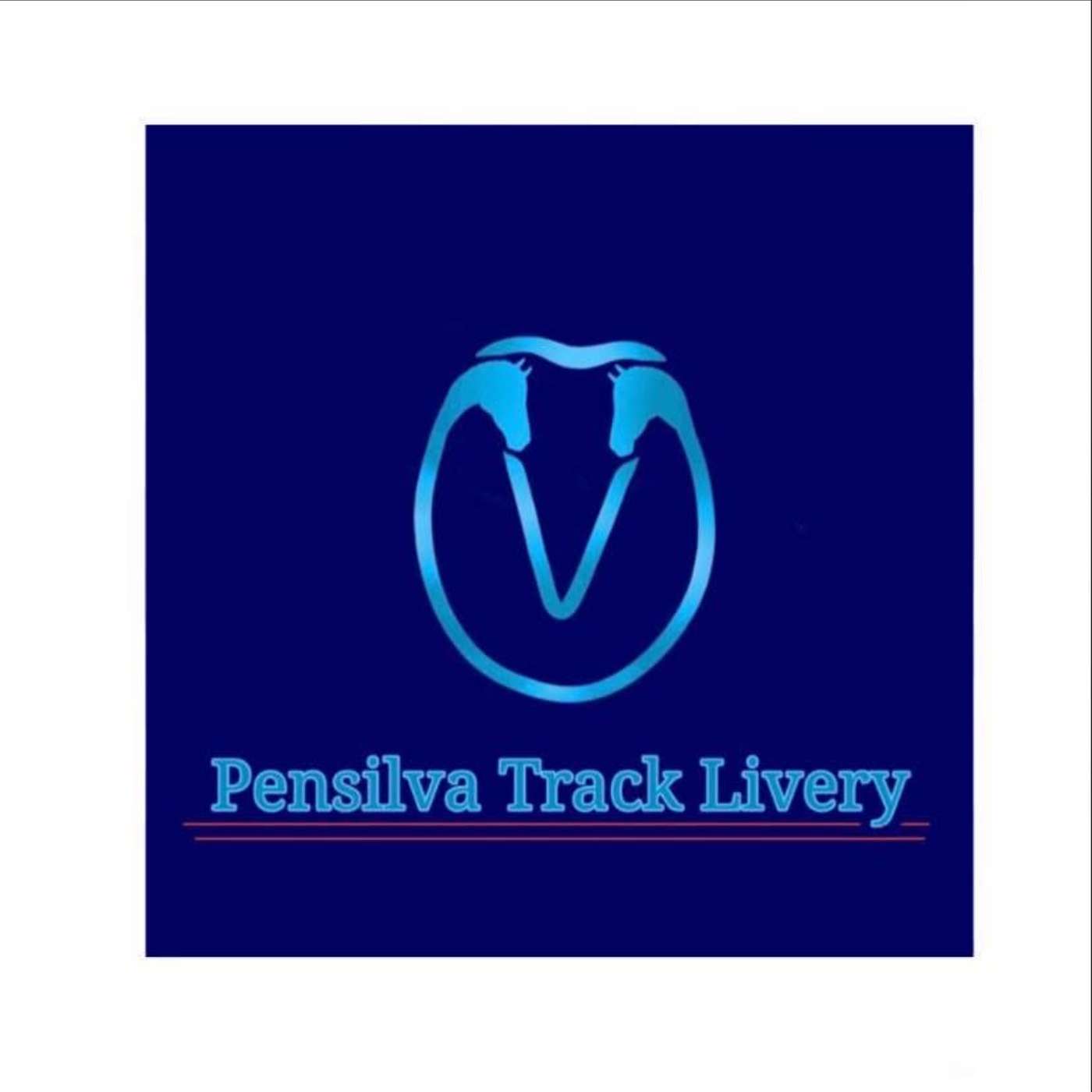 #30 Interview with Danielle (Pensilva Track Livery)