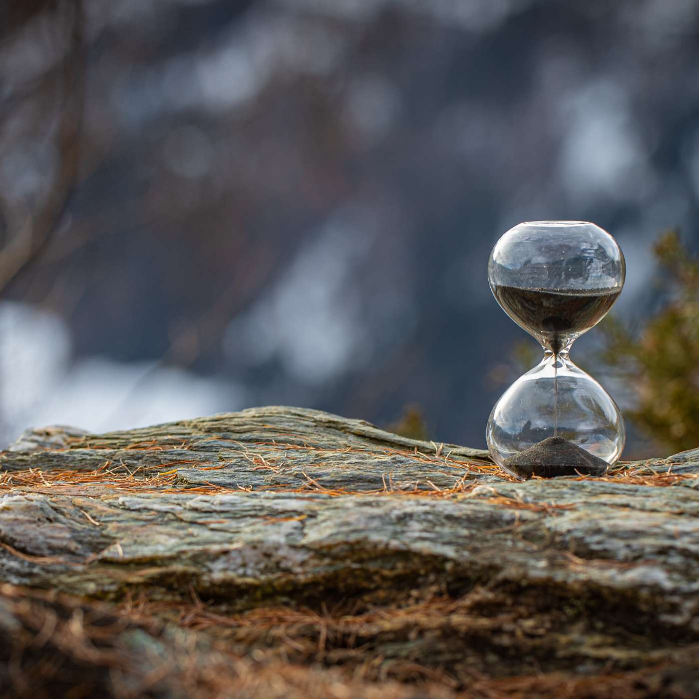 Embracing the Pause: Transforming the Weight of Waiting into a Window for Growth
