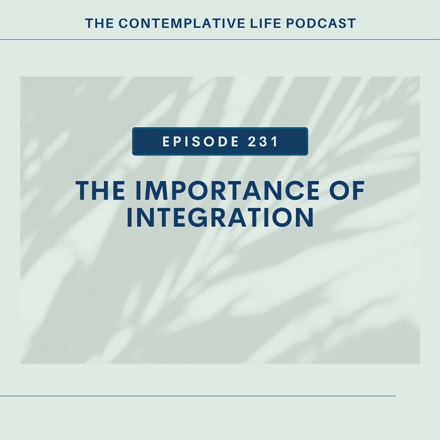 E 231 The Importance of Integration