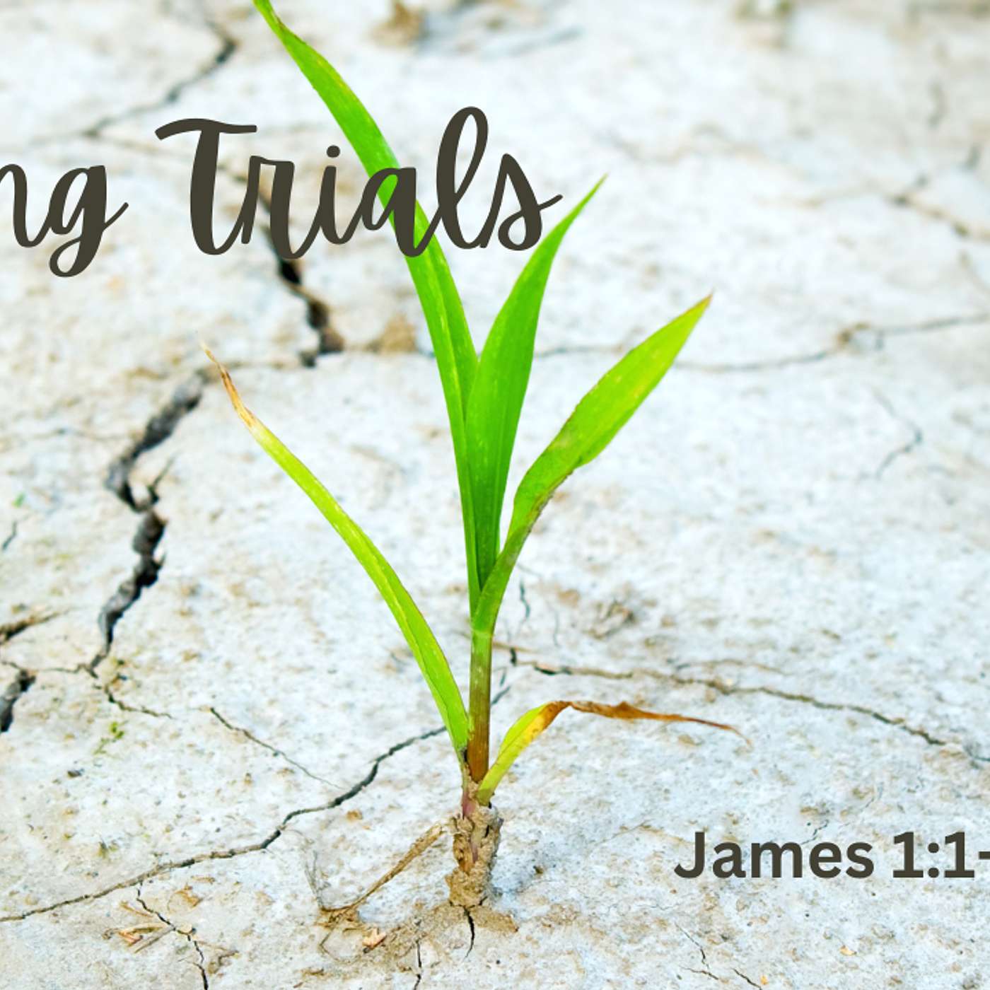 Facing Trials