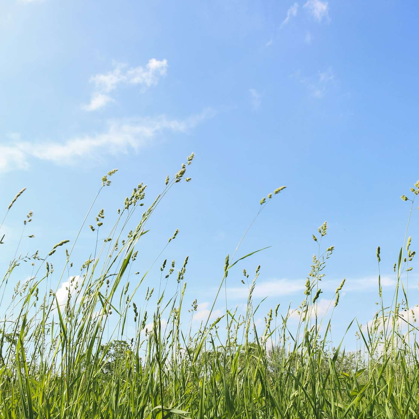 Salighet | del 2 | Menelik Bekele