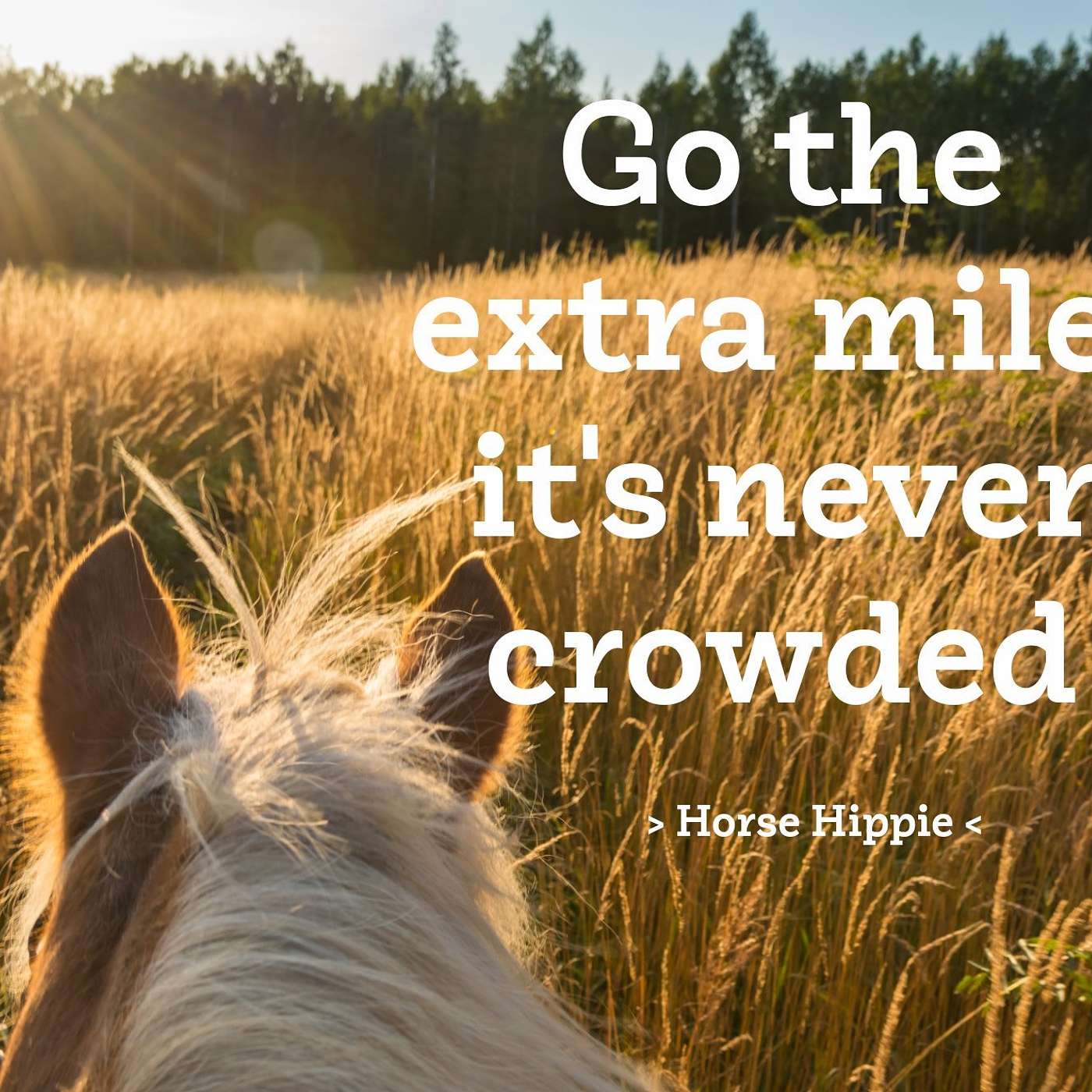 Go the Extra Mile episode artwork