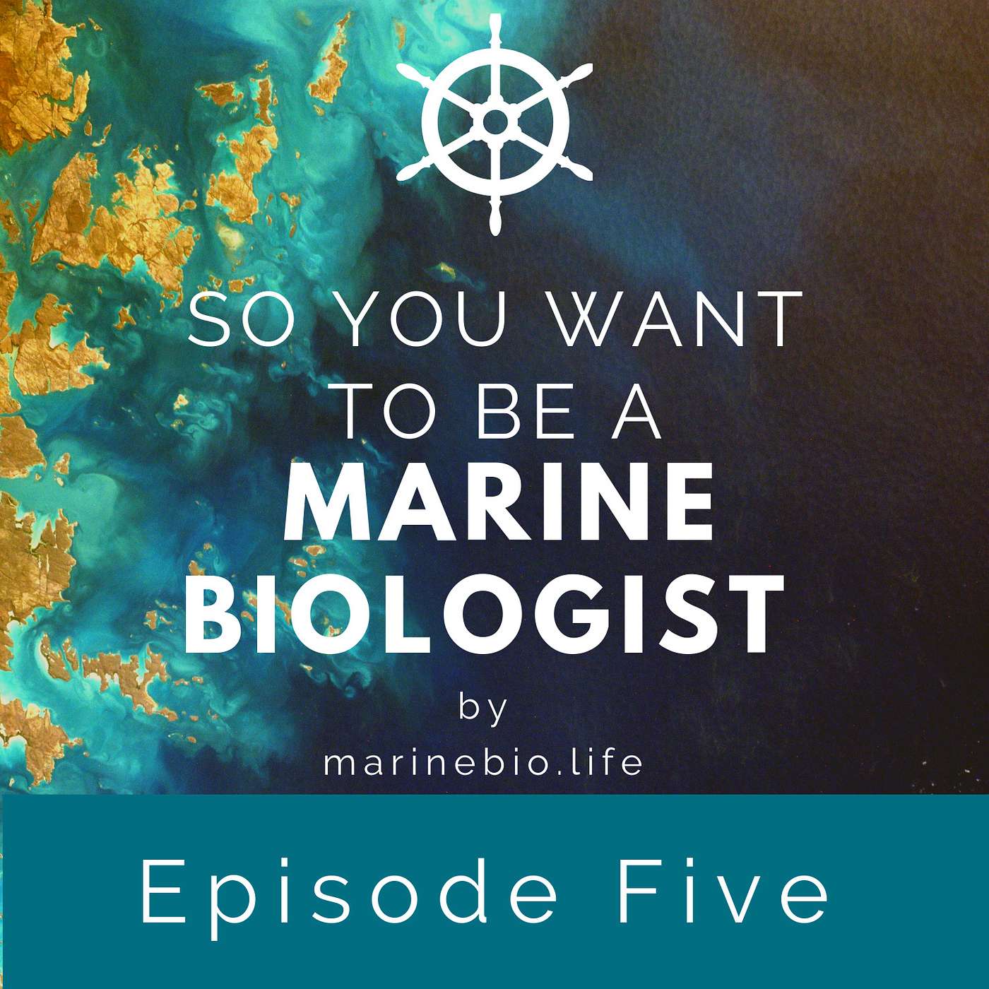 So You Want to Be a Marine Biologist