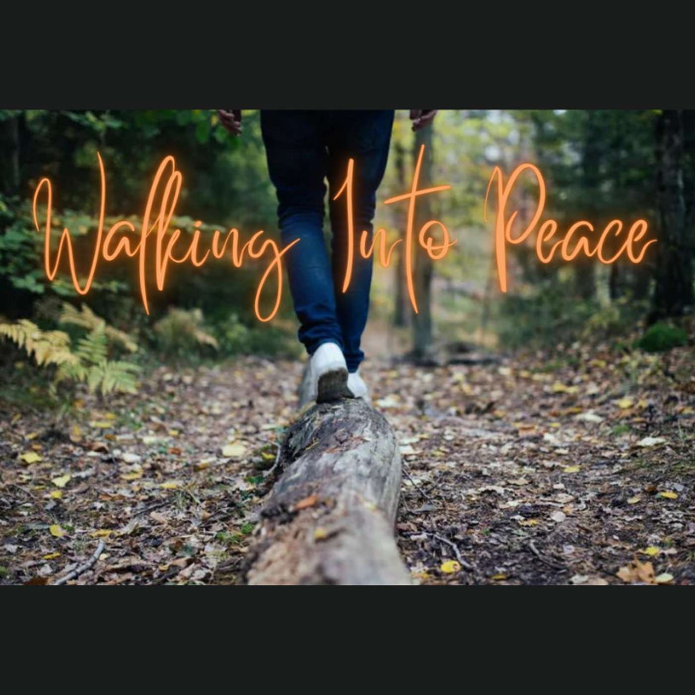 Episode 5 - Walking Into Peace