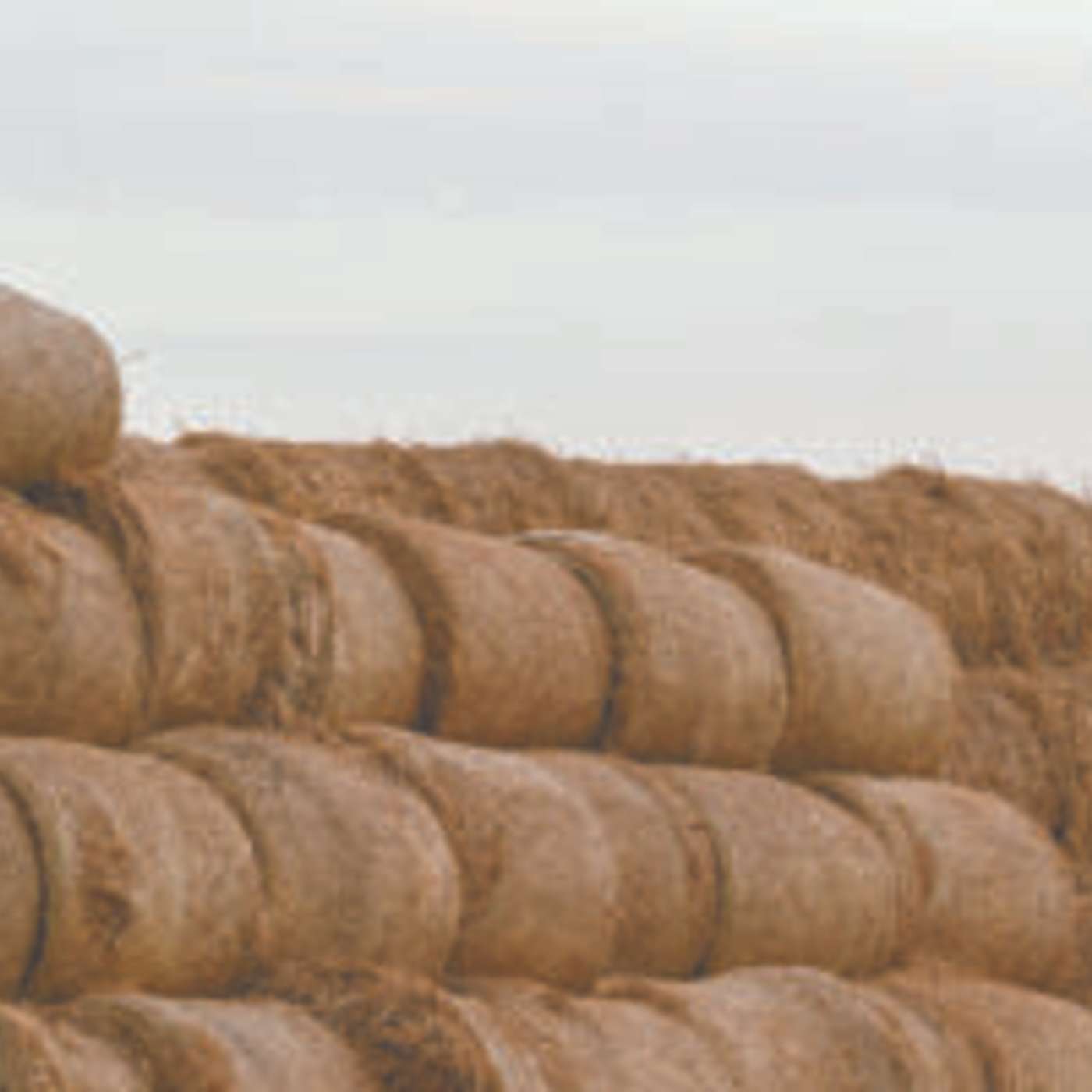3 Rules When Figuring Winter Hay Supply Needs