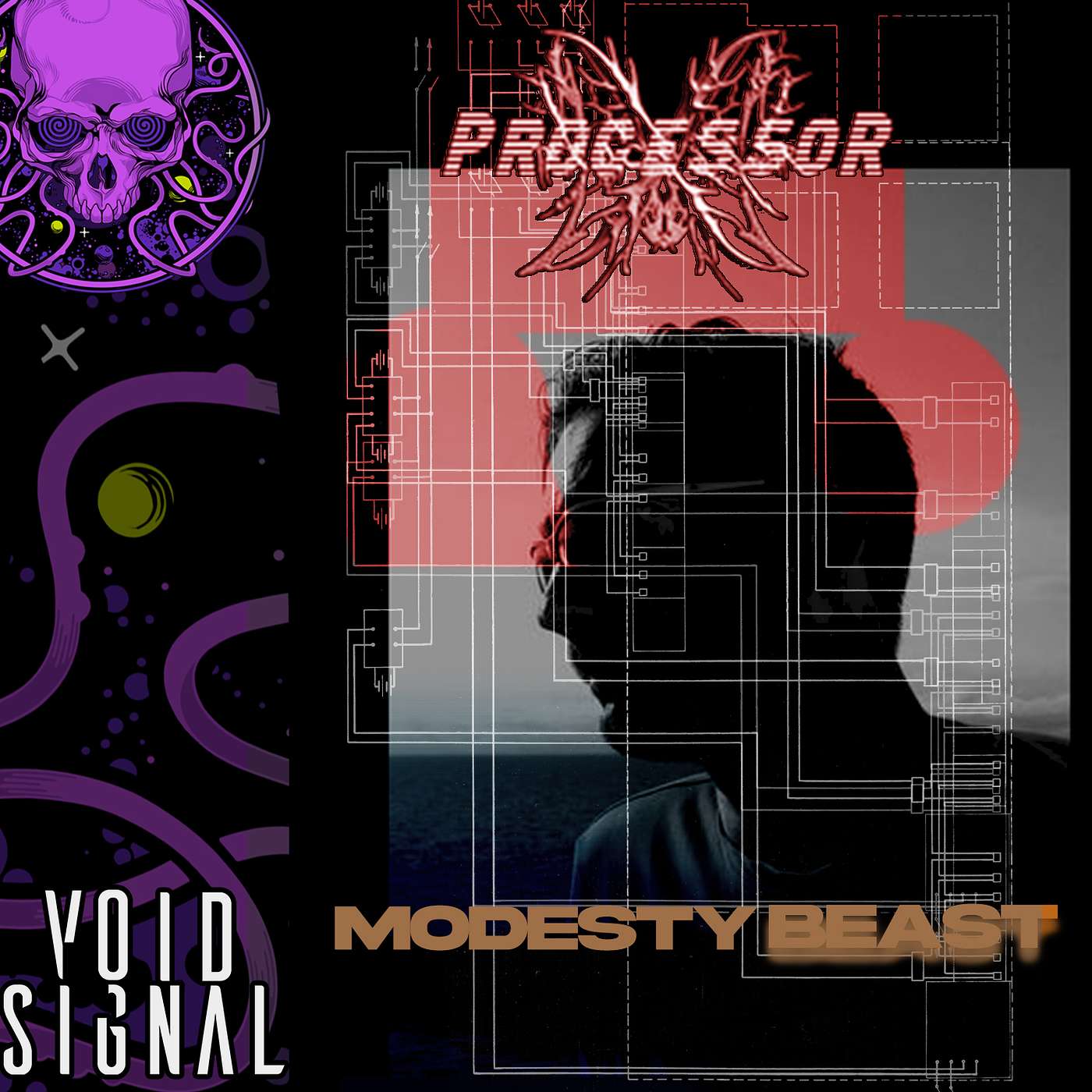 Void Signal