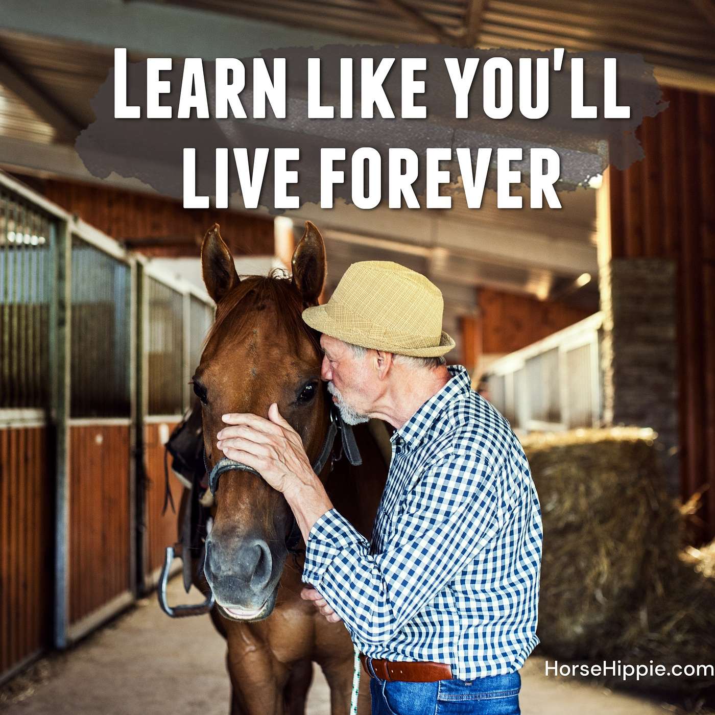 Learn Like You’ll Live Forever