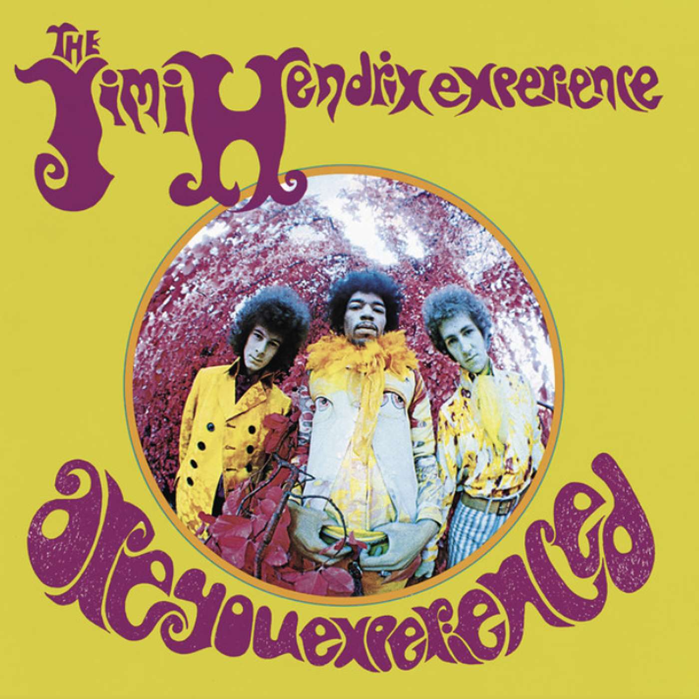 Are You Experienced by The Jimi Hendrix Experience