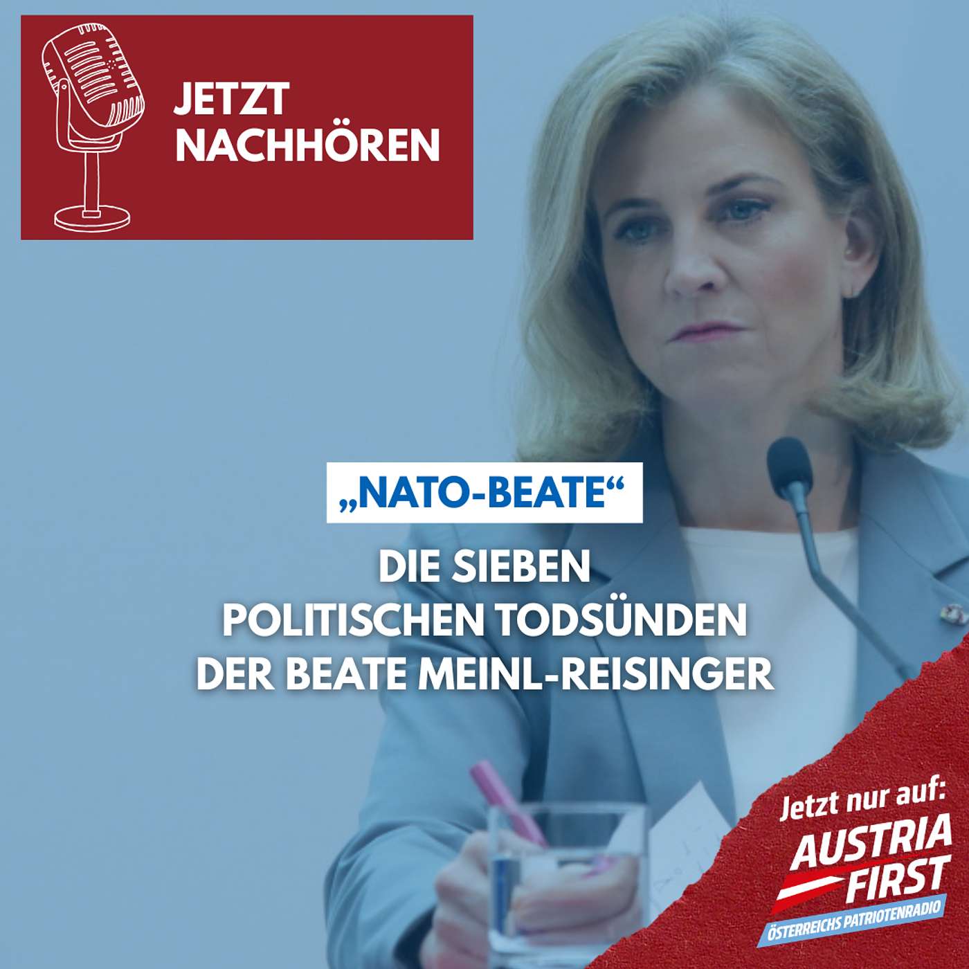 Die sieben politischen Todsünden der Beate Meinl-Reisinger episode artwork