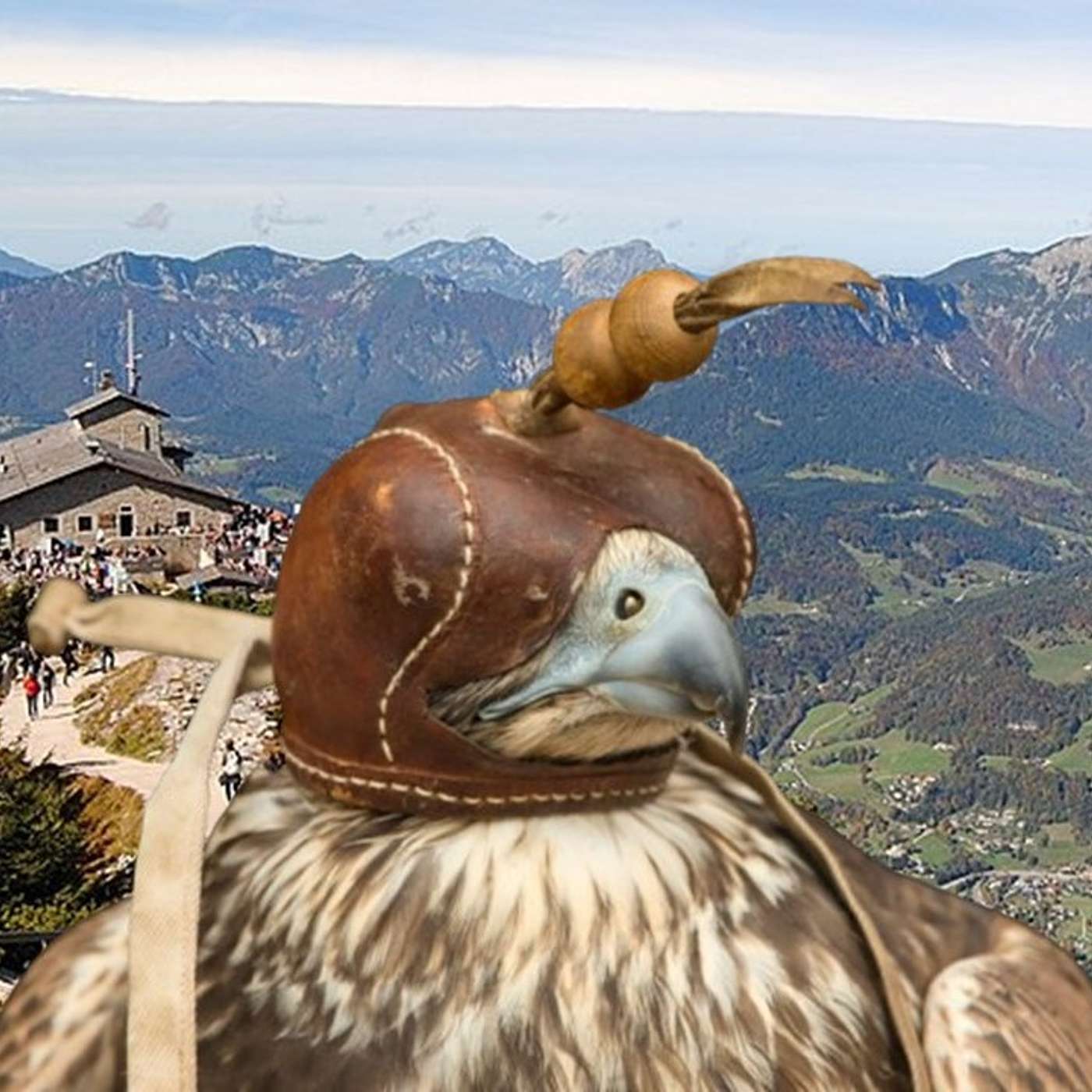 239 - Entering the Raffle to Do Falconry with RFK Jr & Go Hiking With Mengele episode artwork
