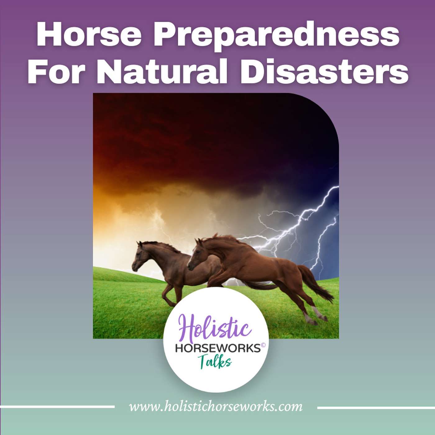 Holistic Horseworks Talks with April Love