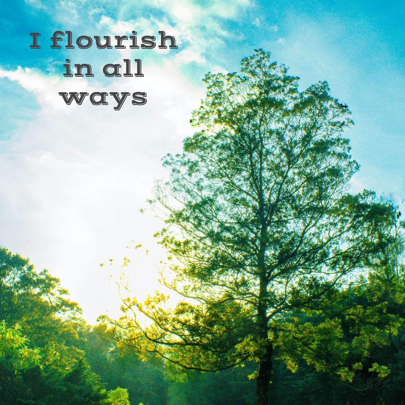 #169 I flourish in all ways episode artwork