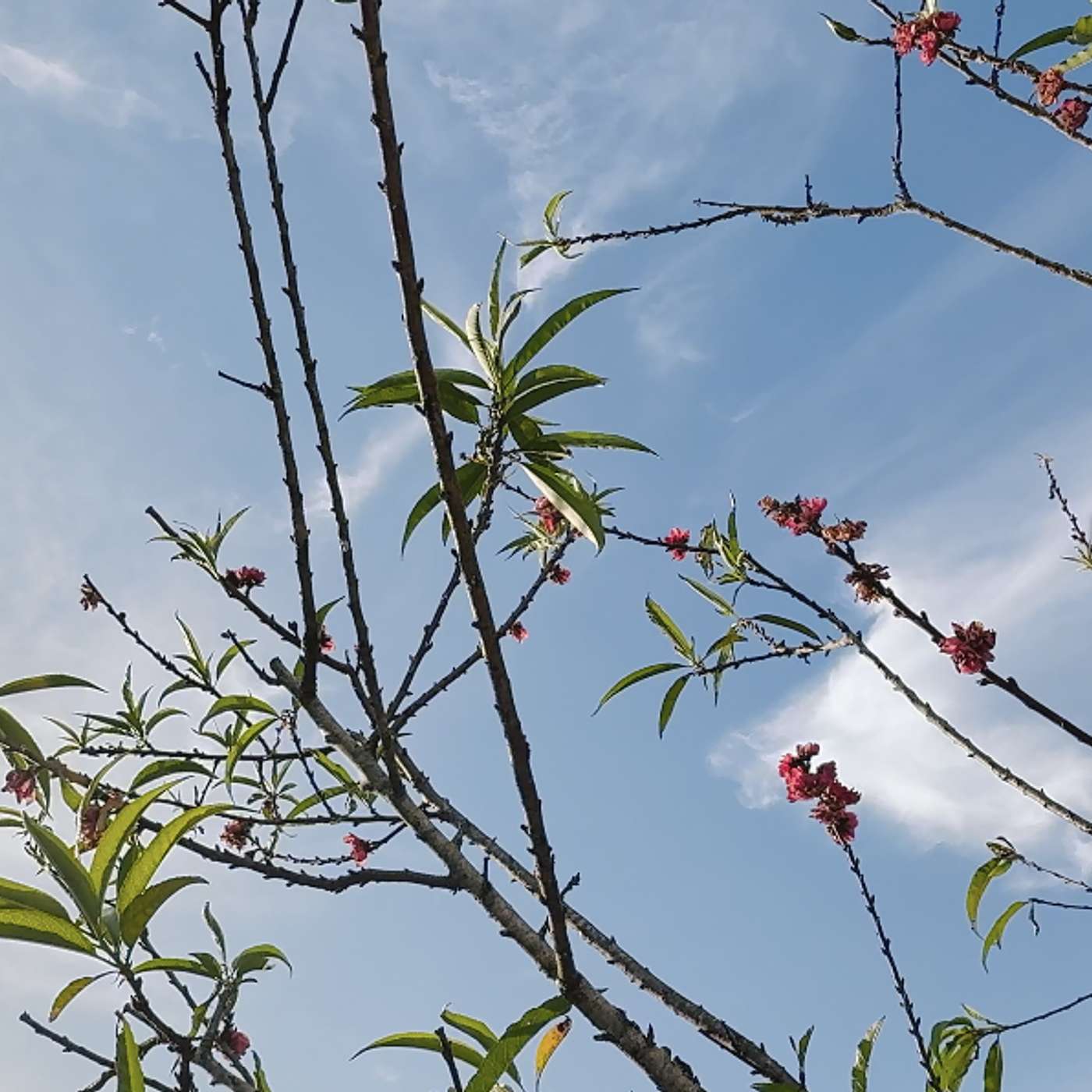 Tập 171: Đừng mong thay đổi người khác, hãy thay đổi chính mình episode artwork