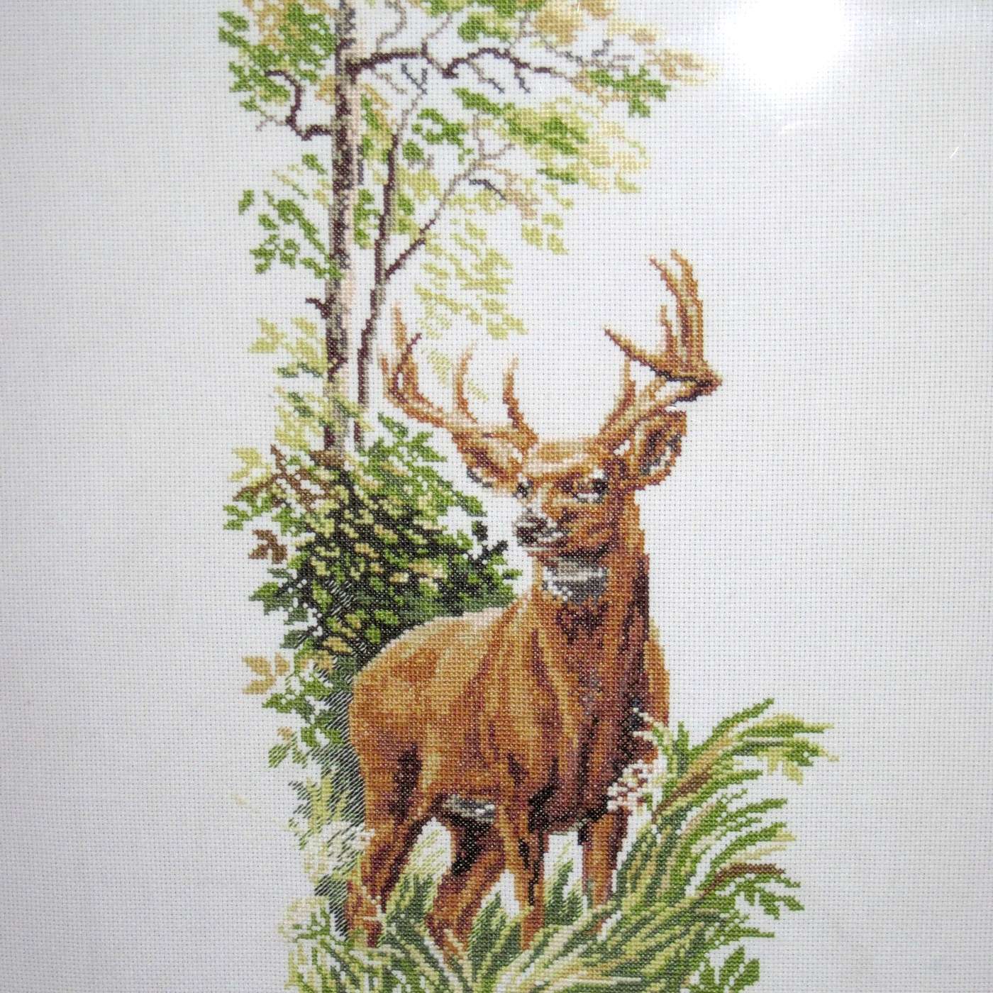 DEER TO MY HEART