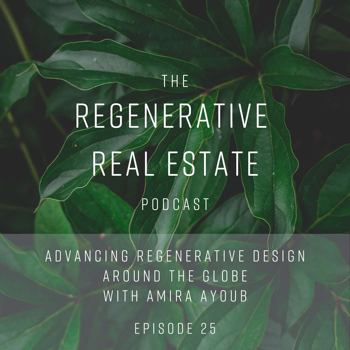 Advancing regenerative design around the globe with Amira Ayoub - podcast episode cover