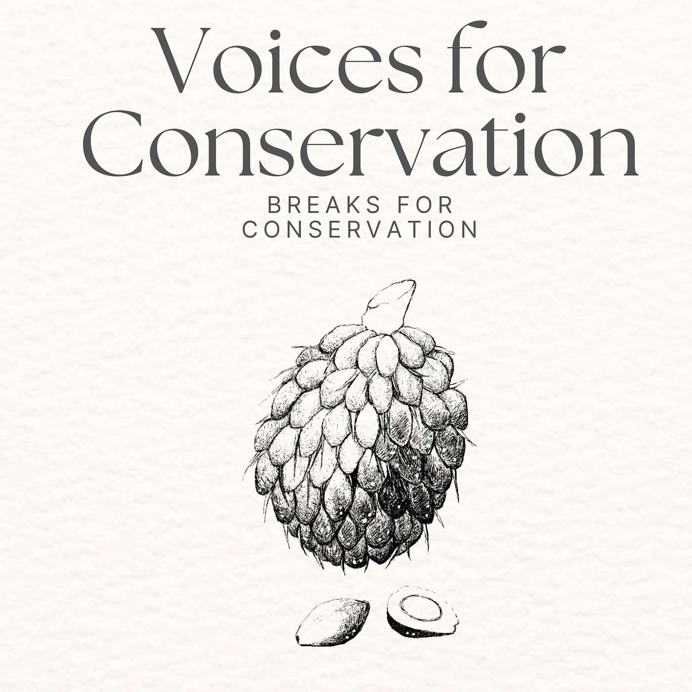 Breaks for Conservation Episode 1: Palm Oil