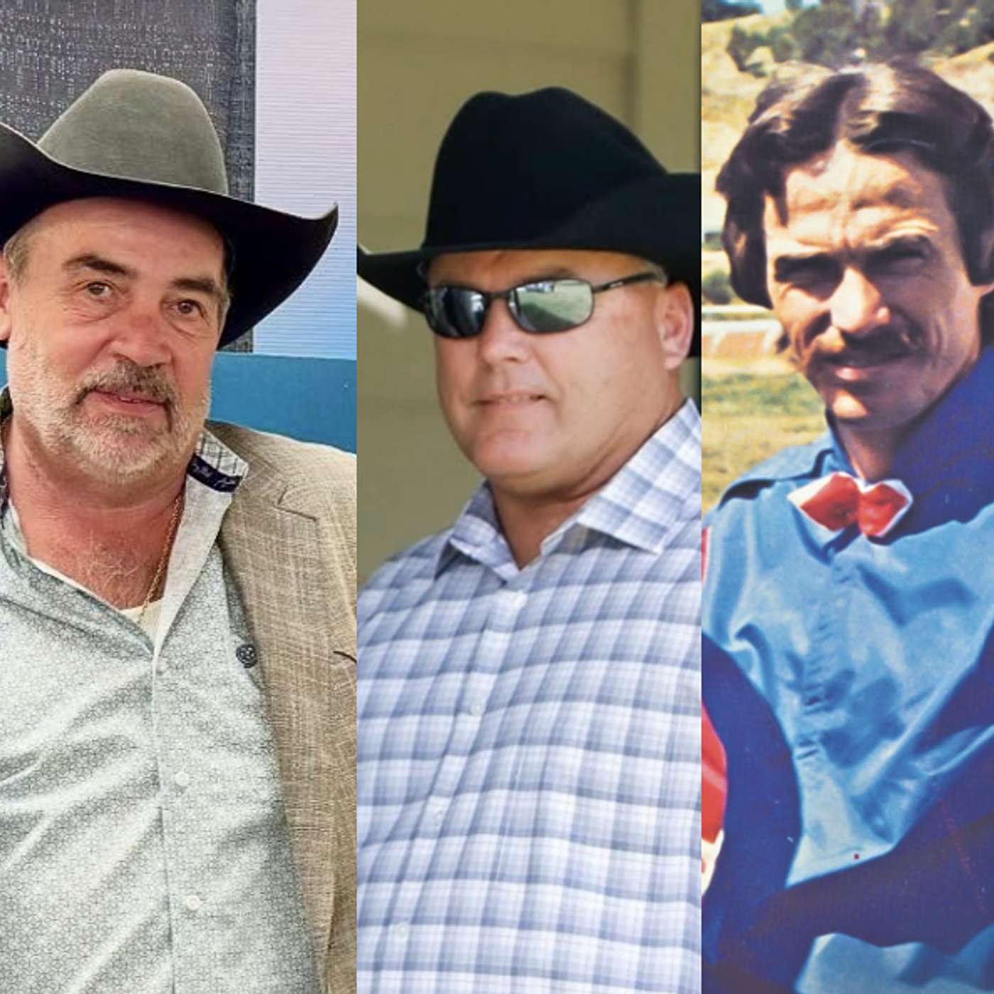 StallioneSearch Podcasts