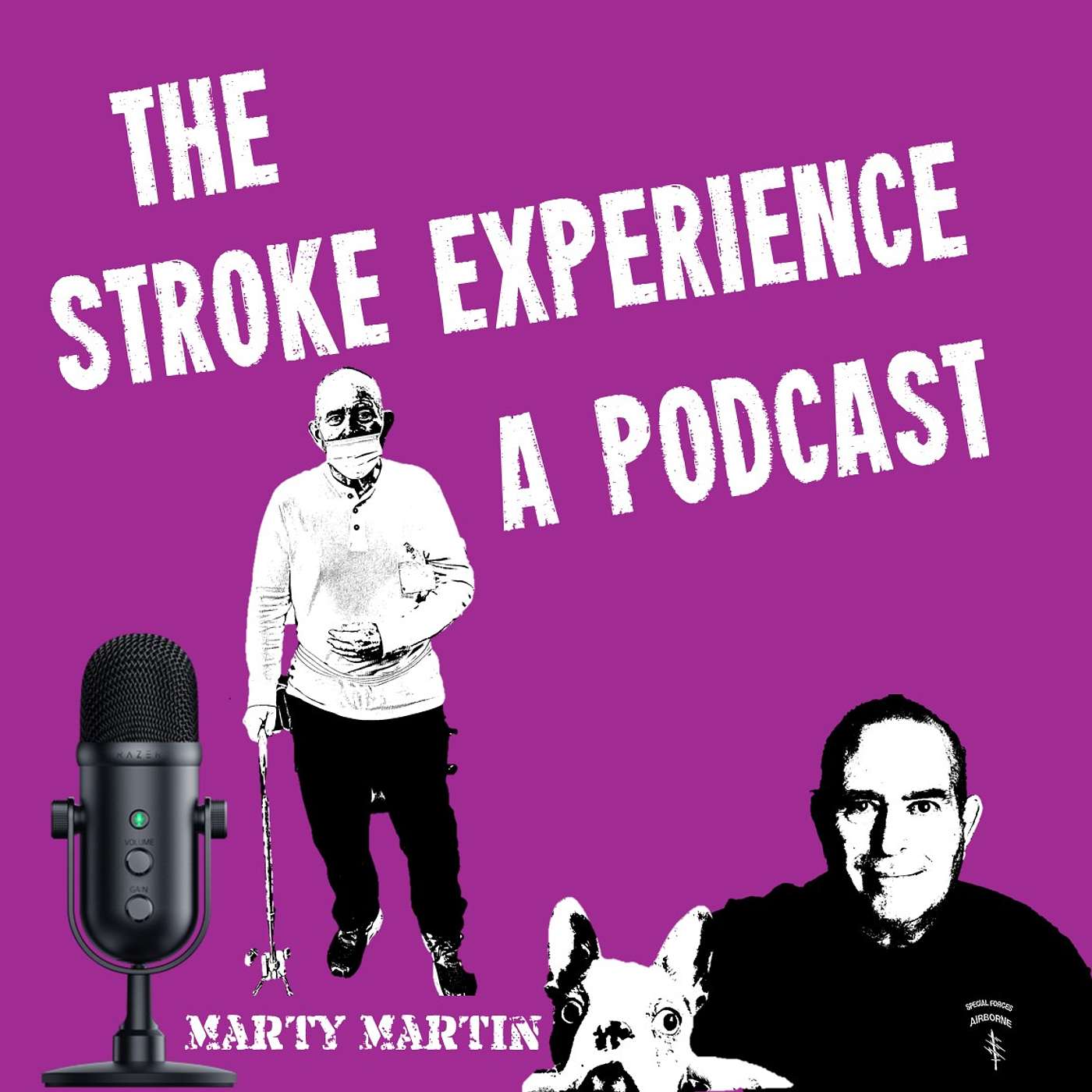 The Stroke Experience Podcast