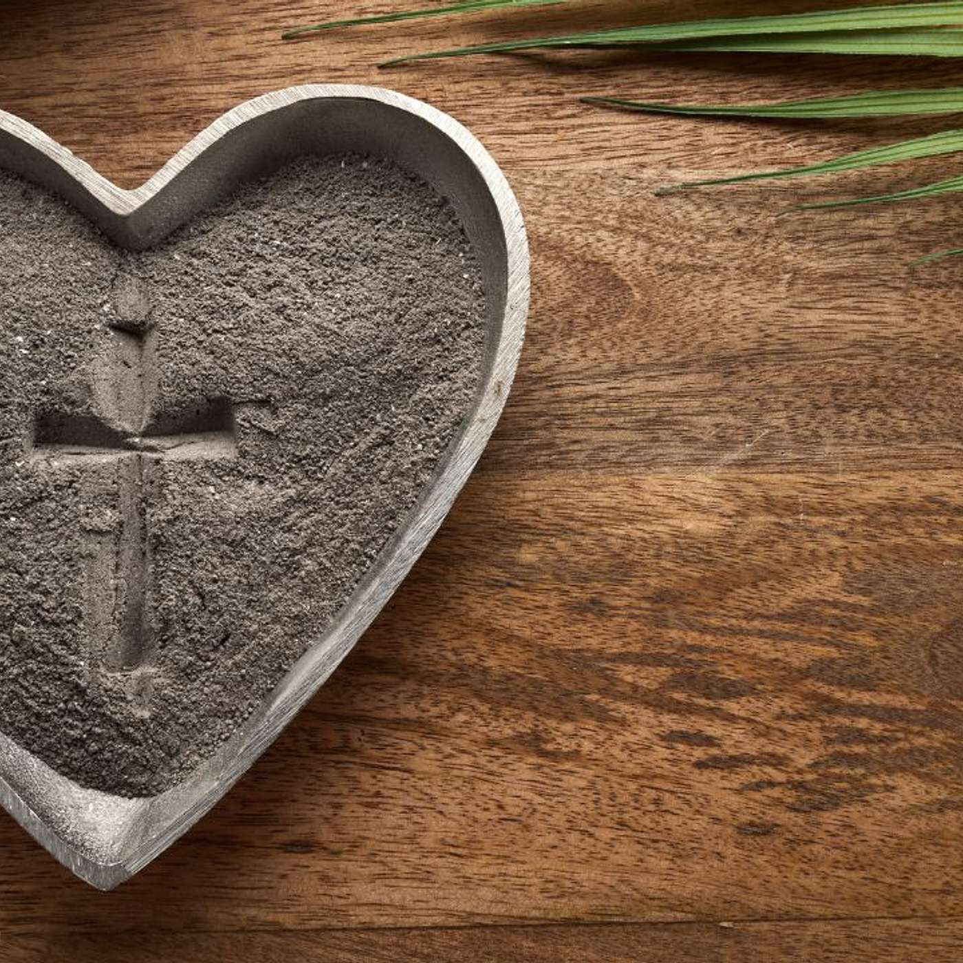 2.22.23 - Pointing Fingers, and Why I Think of Lent as "Log Time" (Ash Wednesday) episode artwork