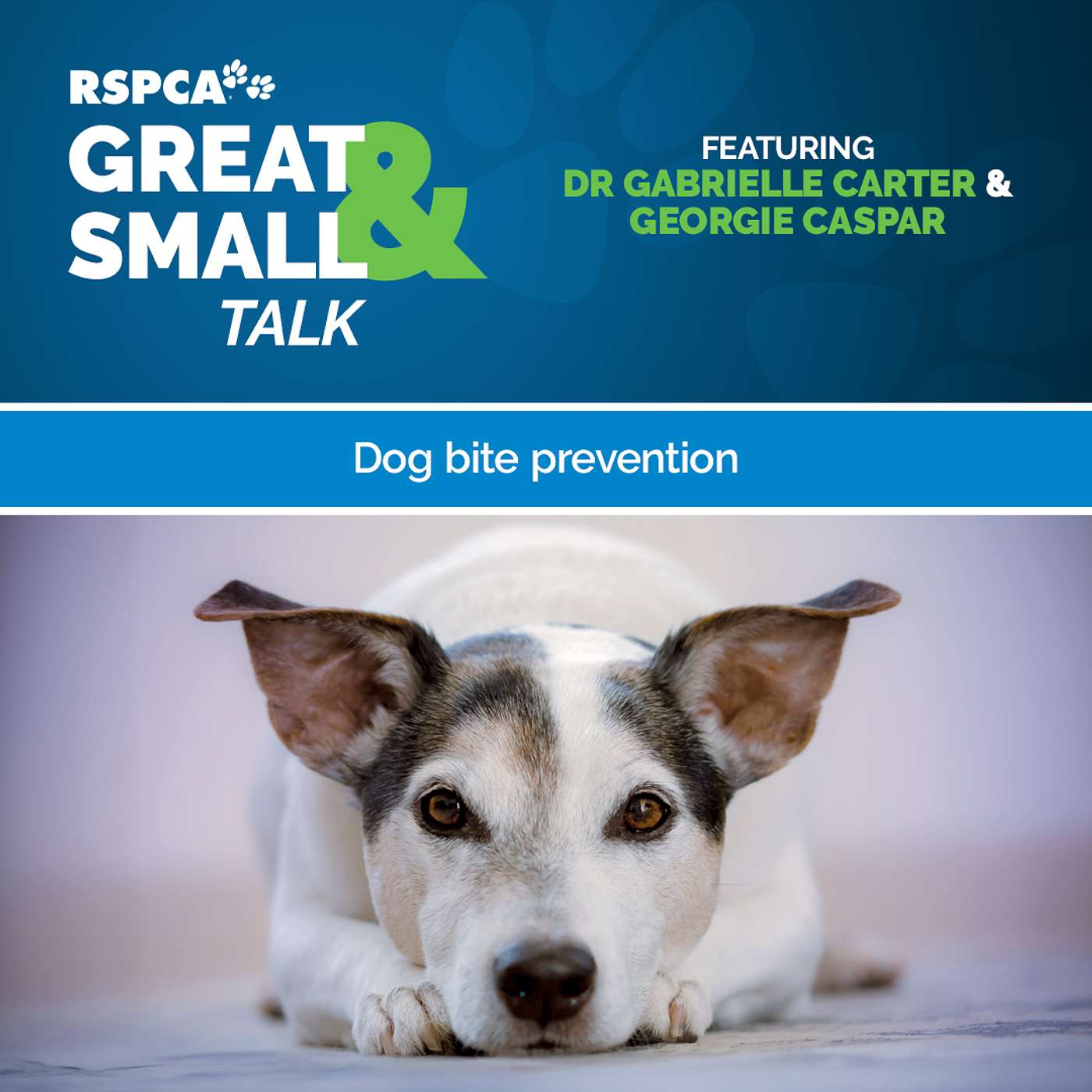 RSPCA Australia\'s Great & Small Talk