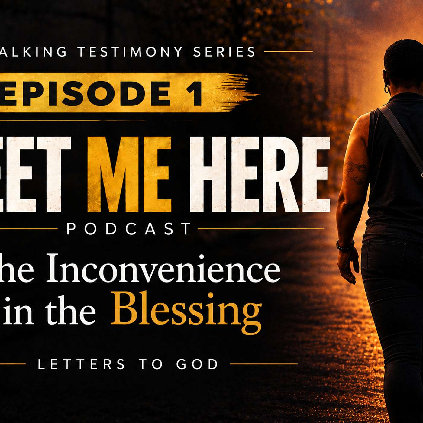 Meet Me Here Episode 1 | The Inconvenience in the Blessing episode artwork