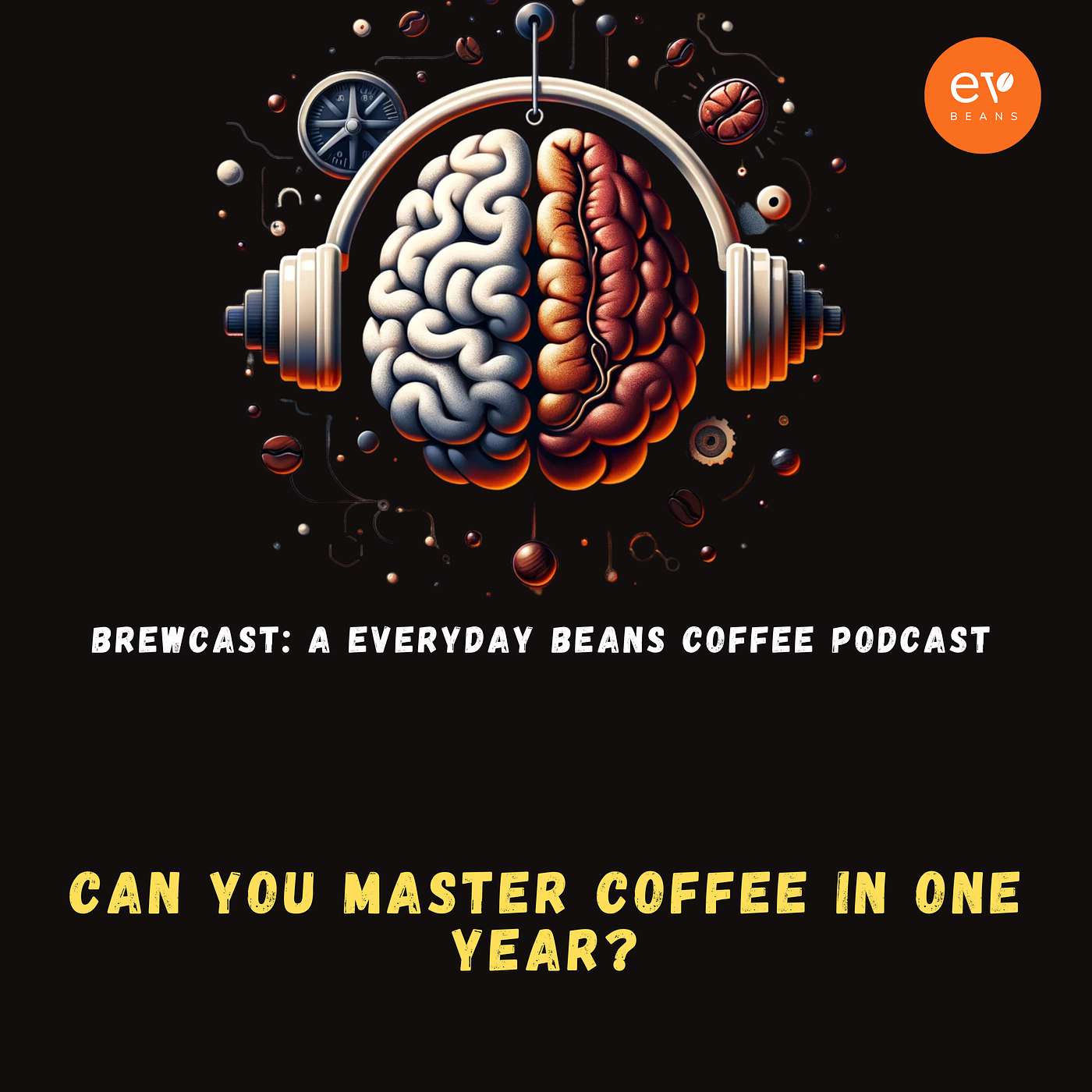 Can You Master Coffee in One Year?