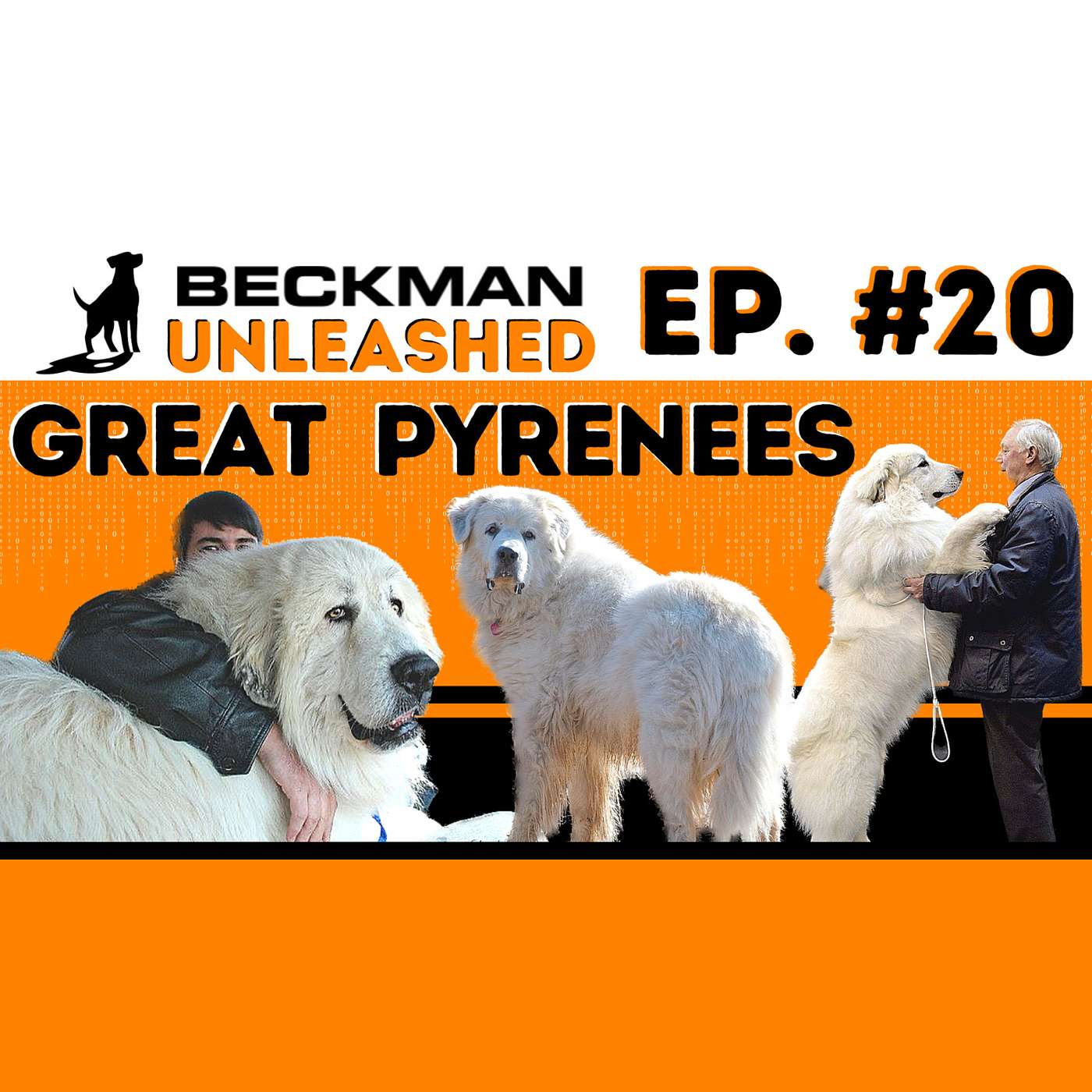 Beckman Unleashed