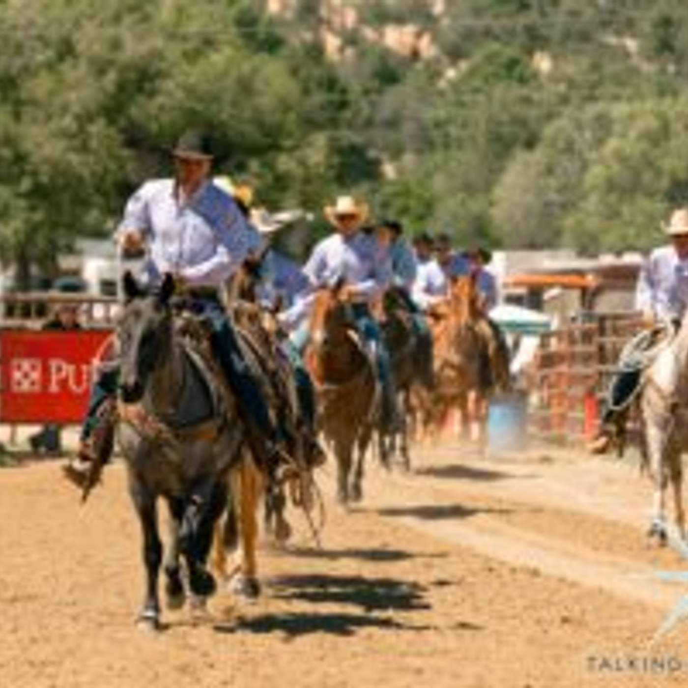 Prescott Hosts Olsen's Equifest and Legacy Ranch Horse Sale