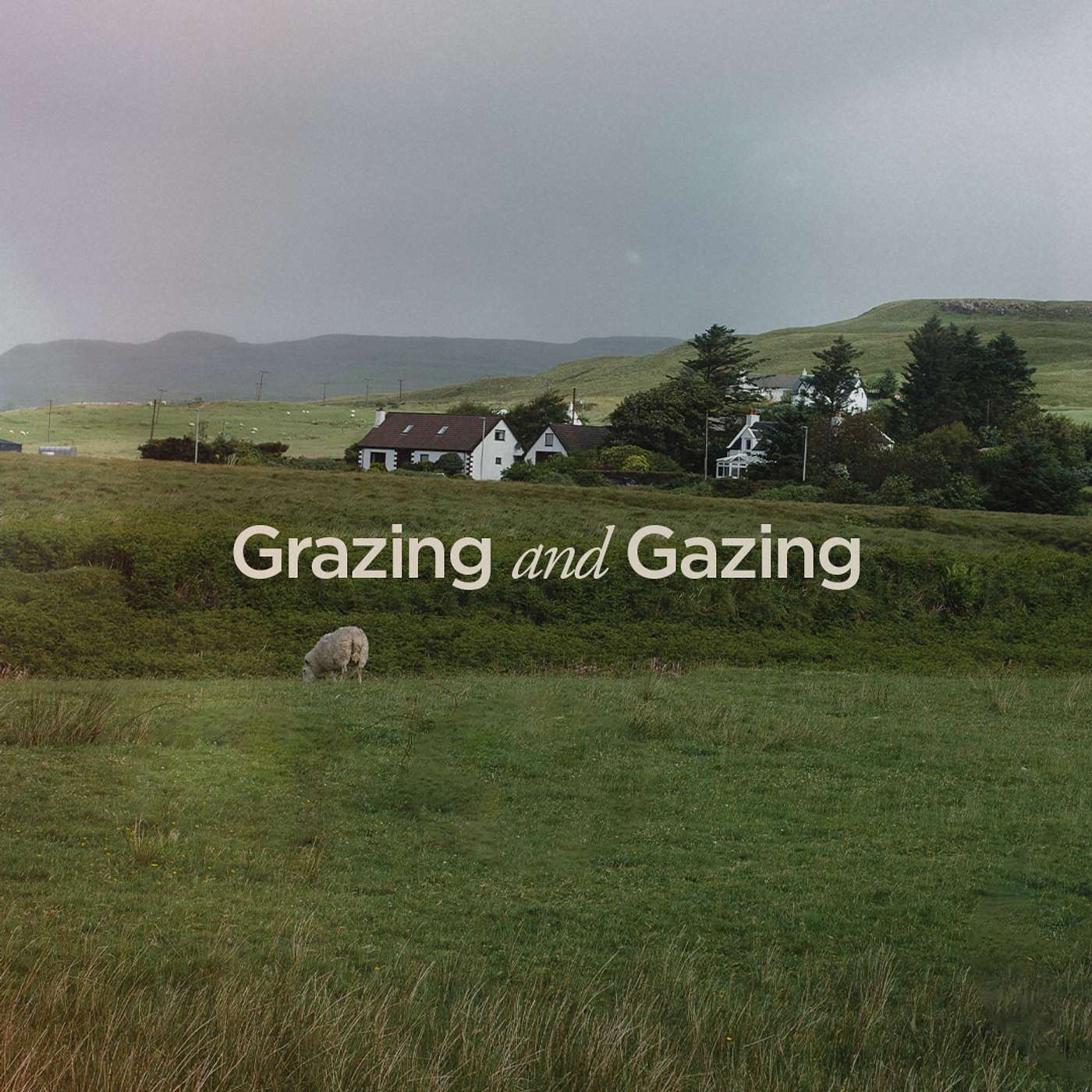 Grazing and Gazing