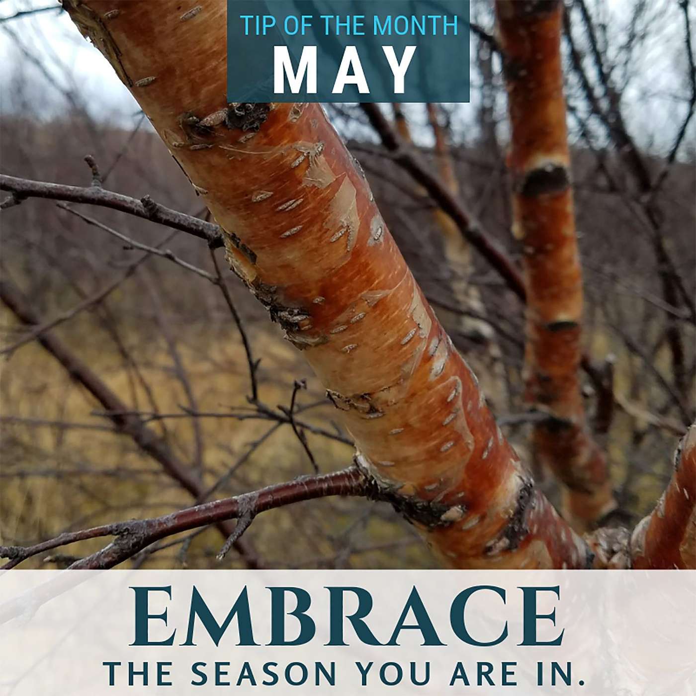 Embrace your Season {Homeschool Science Tip of the Month May 2019}