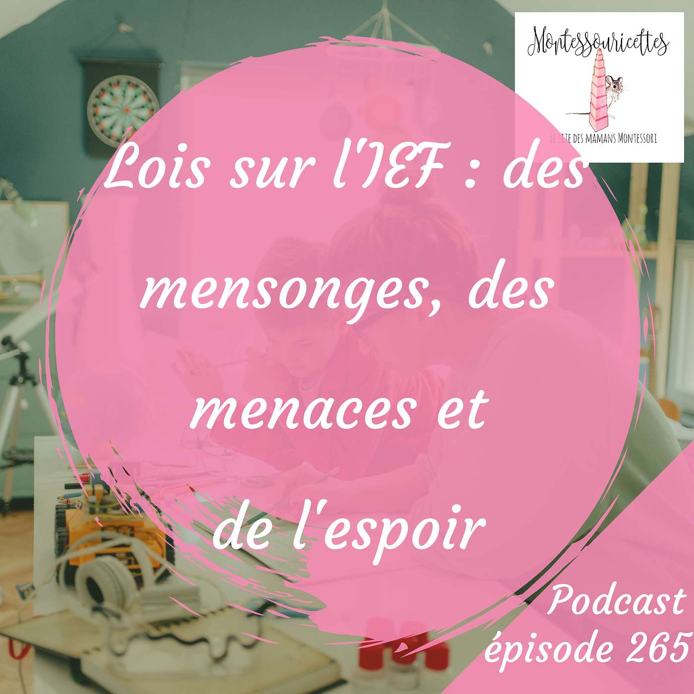 265. Lois sur l'IEF : des mensonges, des menaces et de l'espoir episode artwork