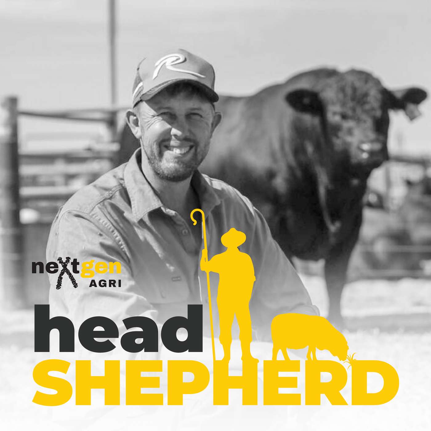 Head Shepherd