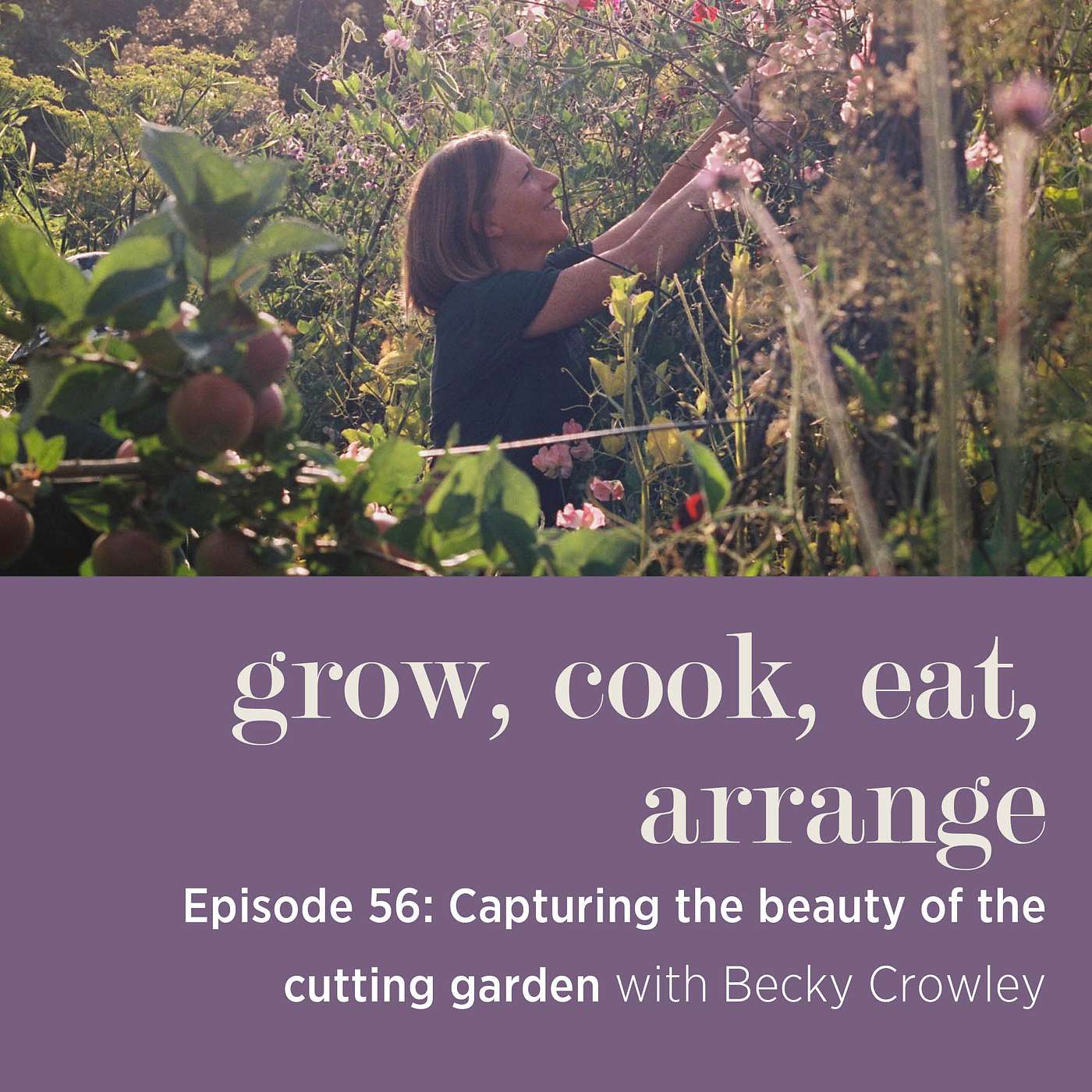 cover of episode Capturing the Beauty of the Cutting Garden with Becky Crowley - Episode 56