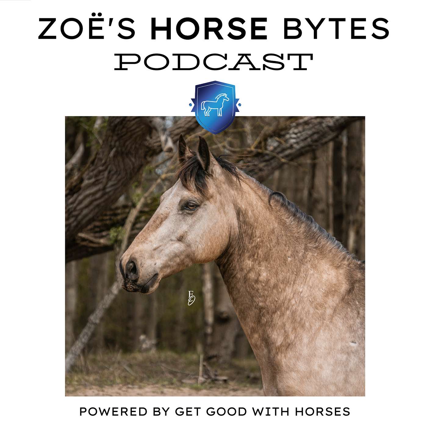 Zoë\'s Horse Bytes